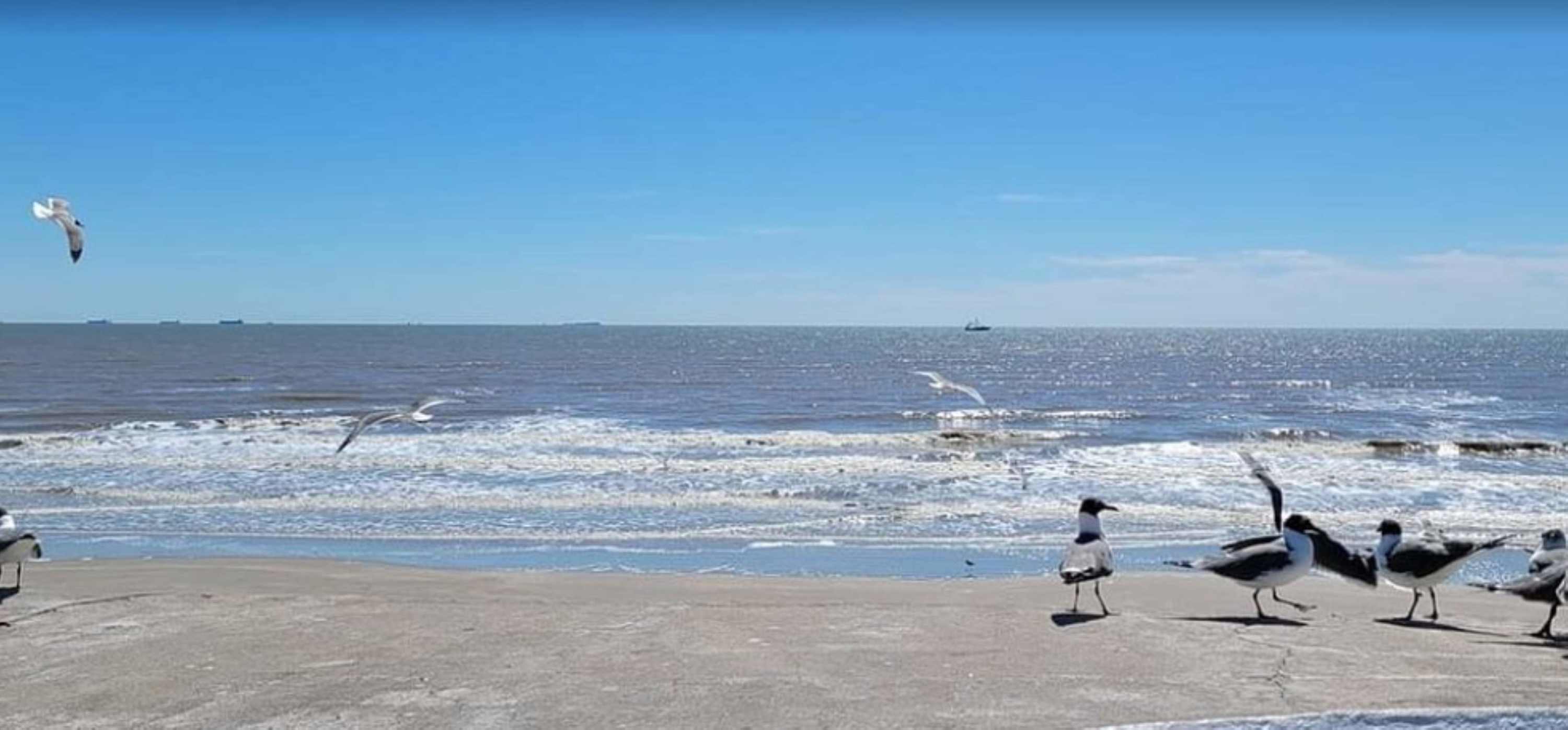 Just steps away enjoy the beach with a walking beach access point.