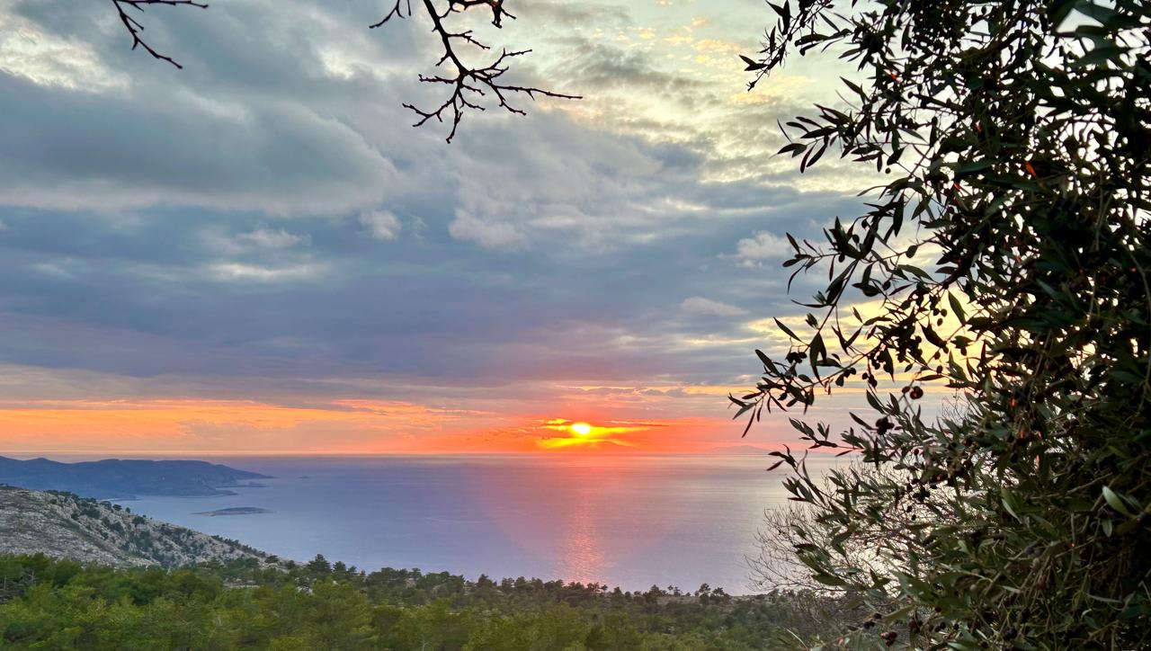 View 7