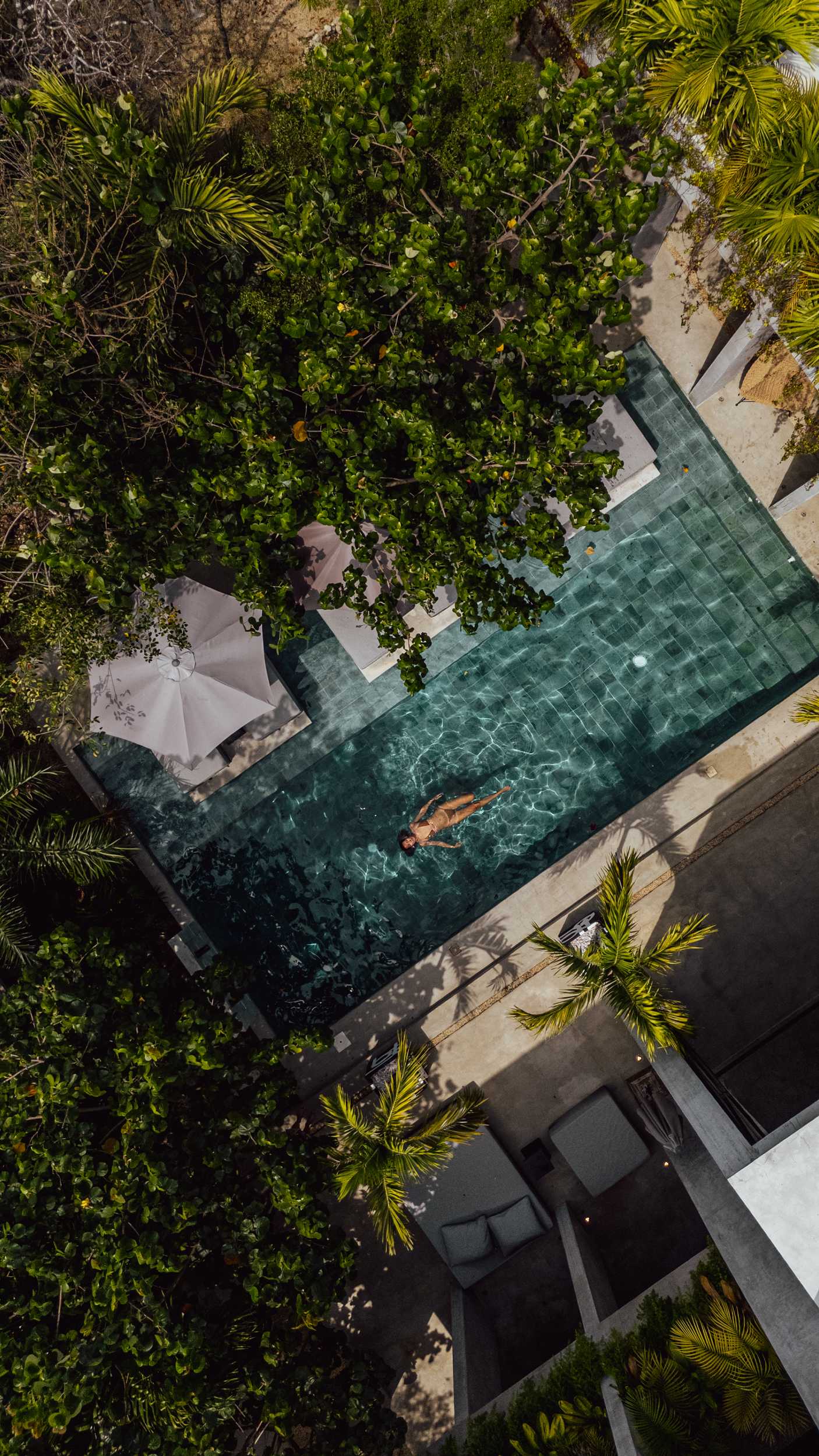 Drone view of the pool surrounded by lush gardens