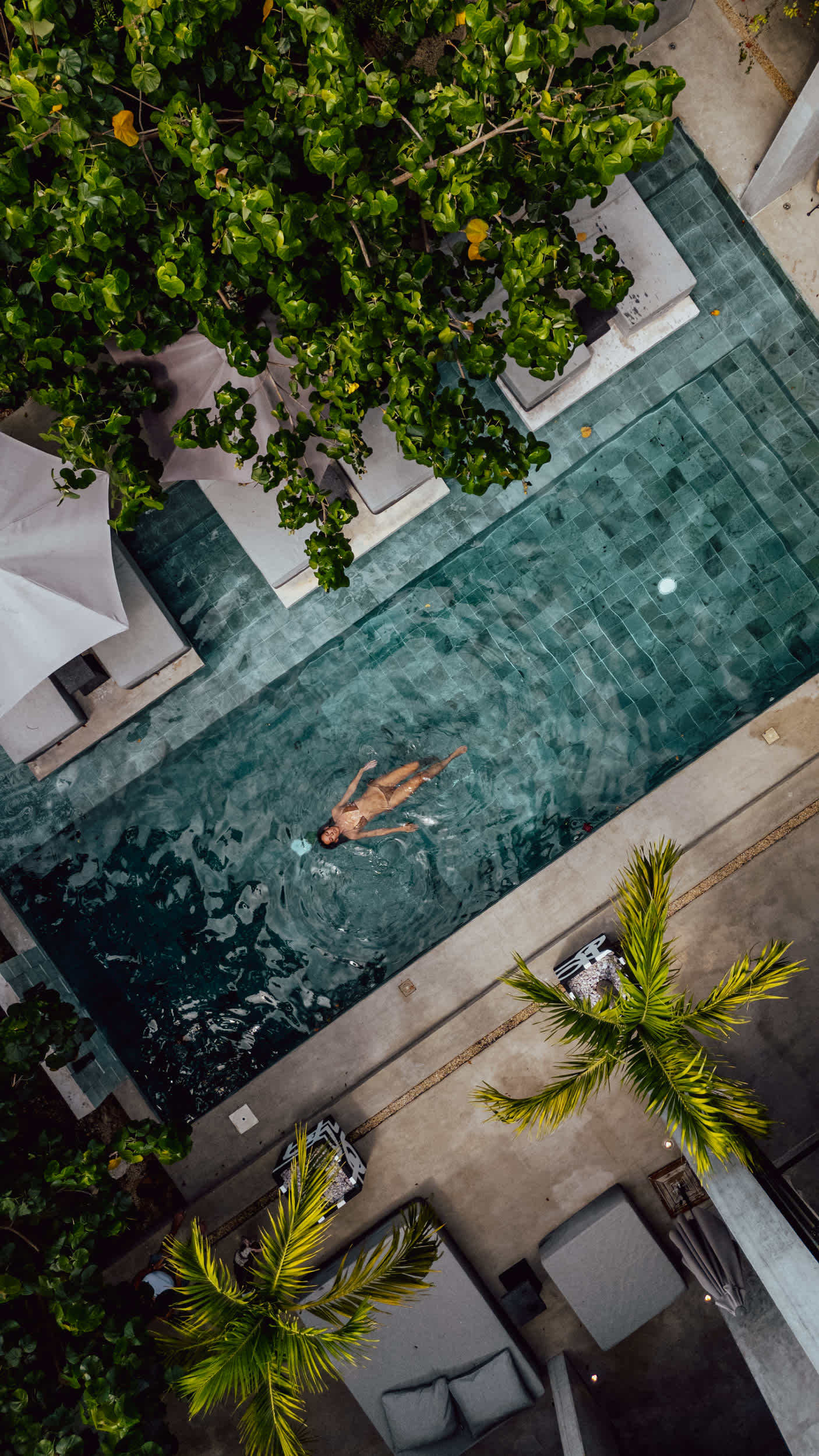 Drone view of the pool surrounded by lush gardens