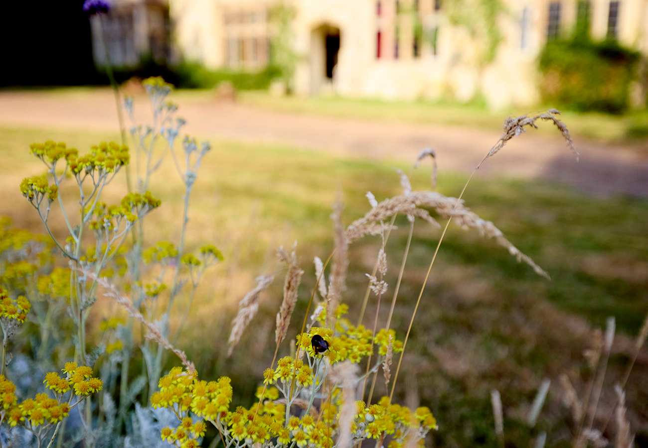 Haremere Hall — 78