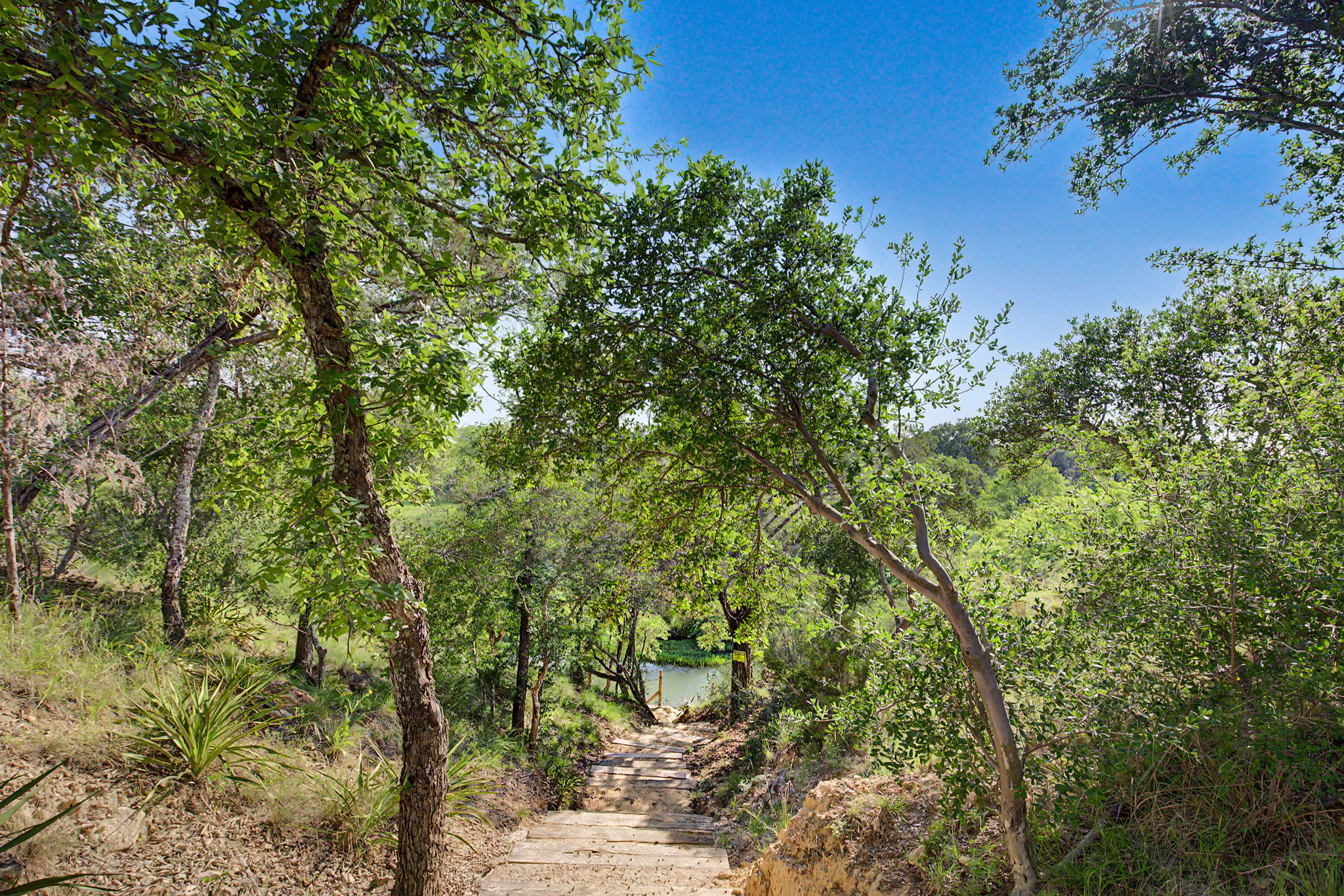 Verbena Cottage | Photo 49