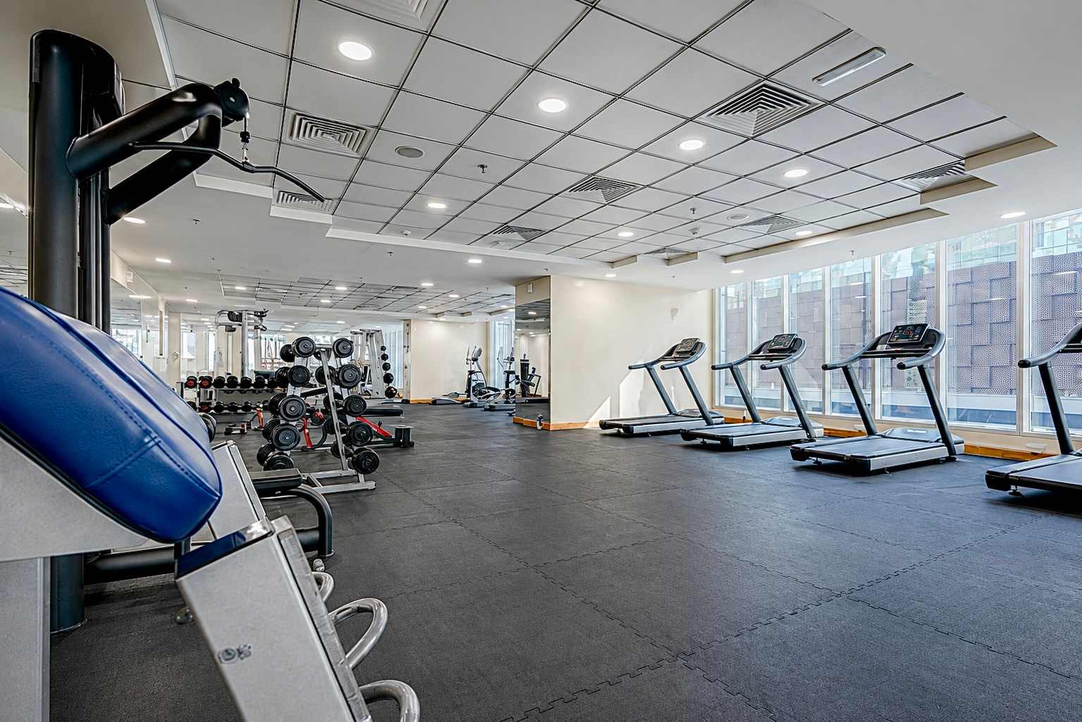 Torch Tower Marina 1BR: Balcony, Gym & Views! - Image 21