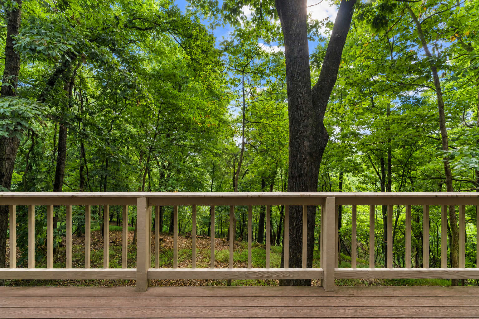 Whether you're grilling dinner, watching the trees sway, or gathering around the fire under the stars, there's plenty of space to enjoy the outdoors.