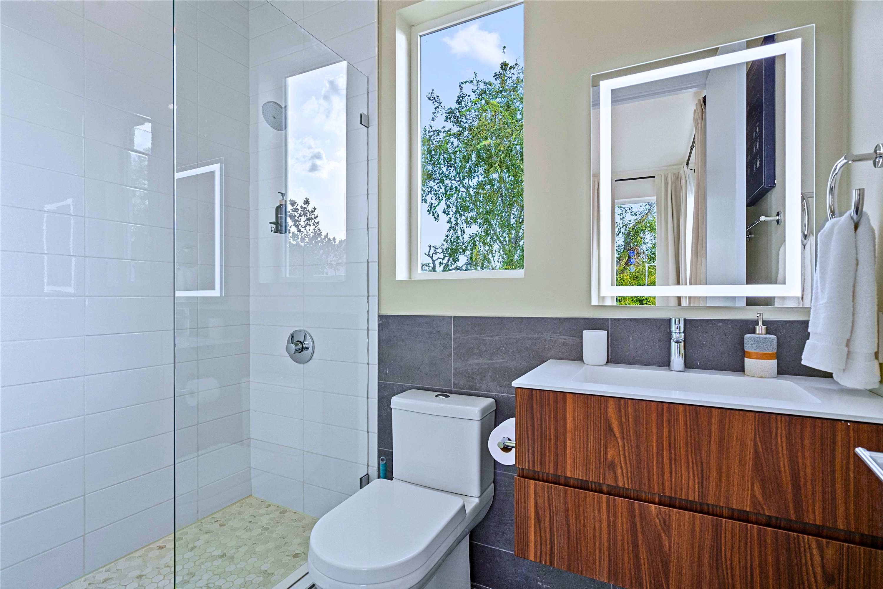 Walk-In Shower, Illuminated Vanity Mirror & Toilet