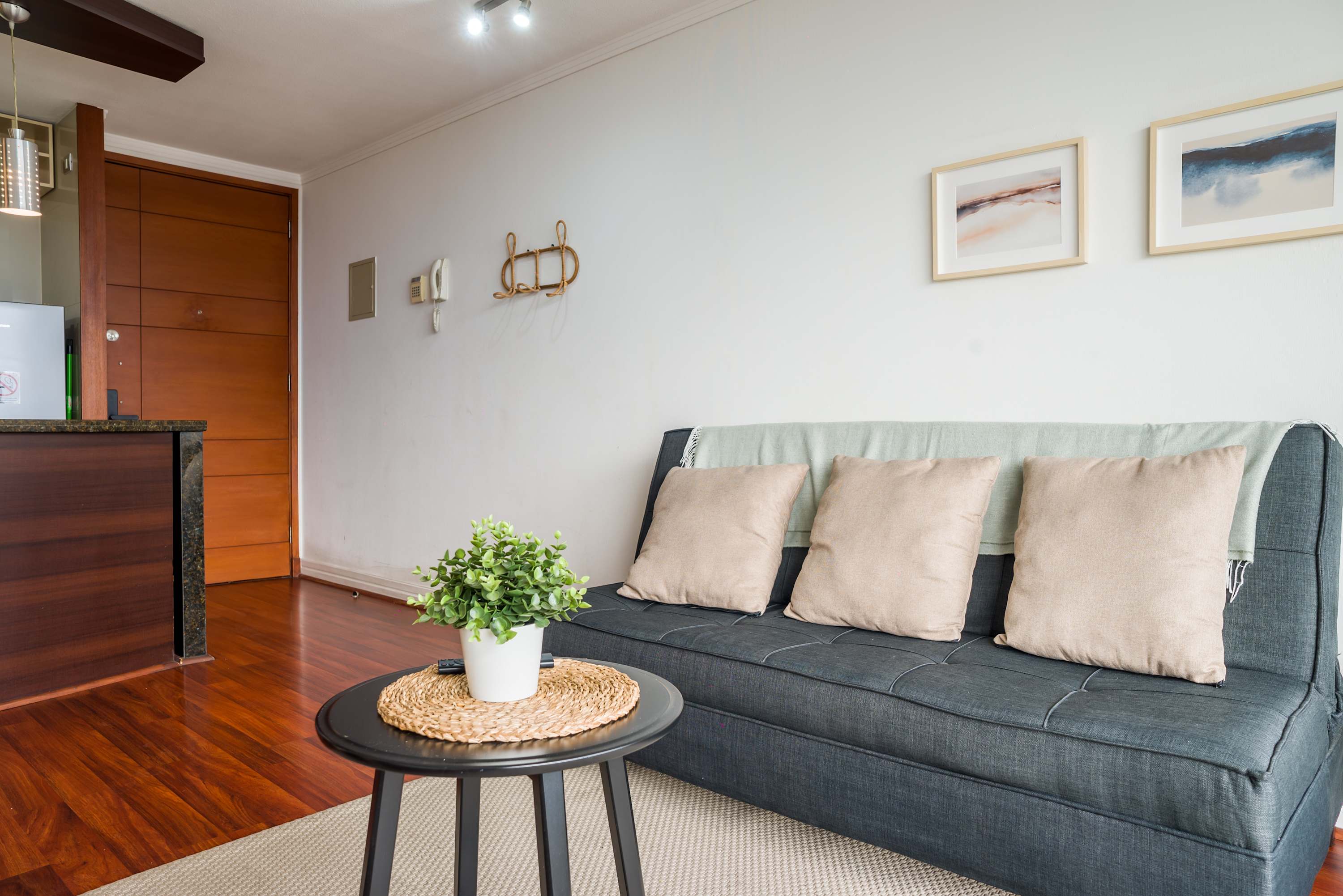 Private living room with a charcoal sectional, soft throw blanket, and a leafy plant on the round coffee table.