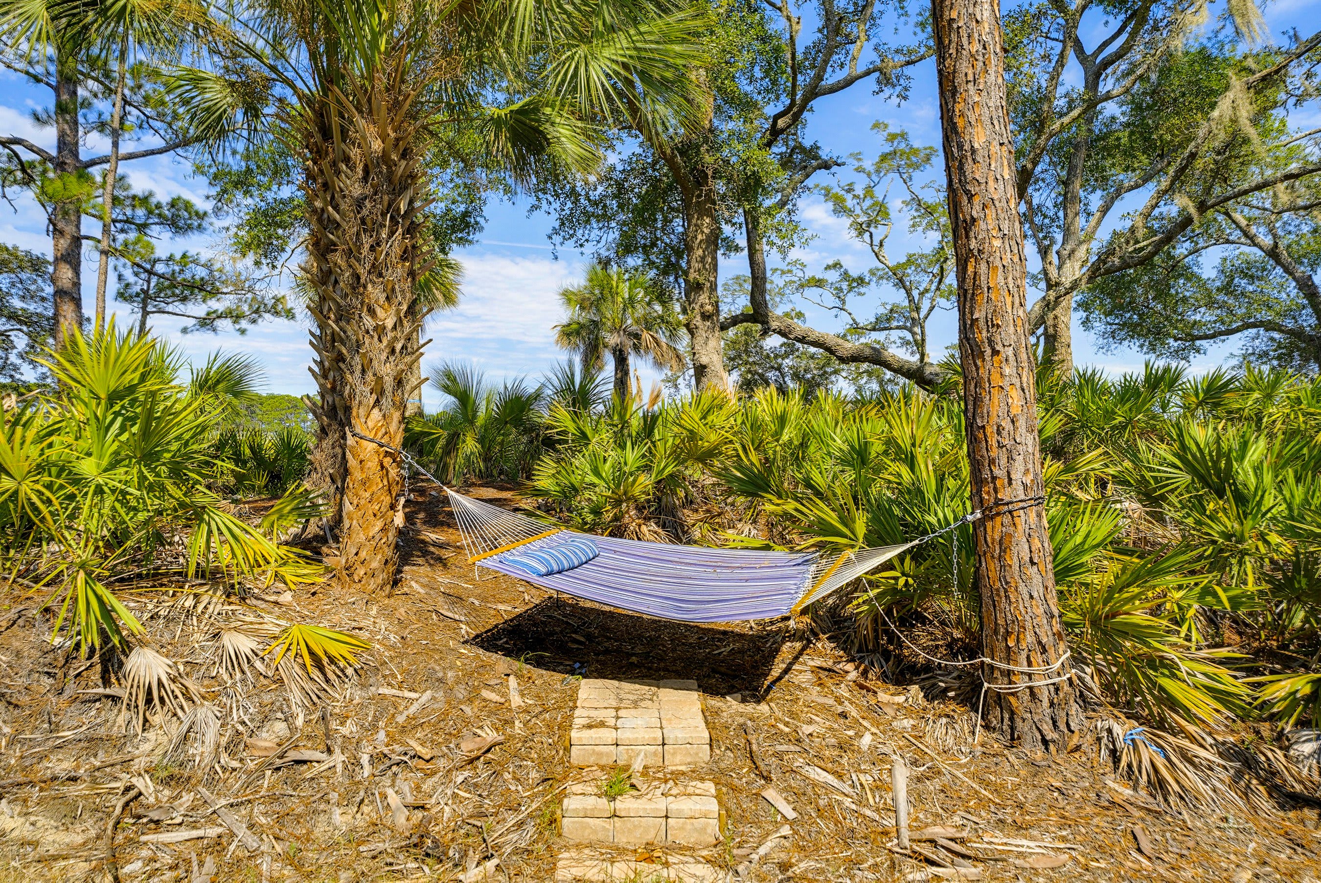 456 Porpoise Drive | Photo 52