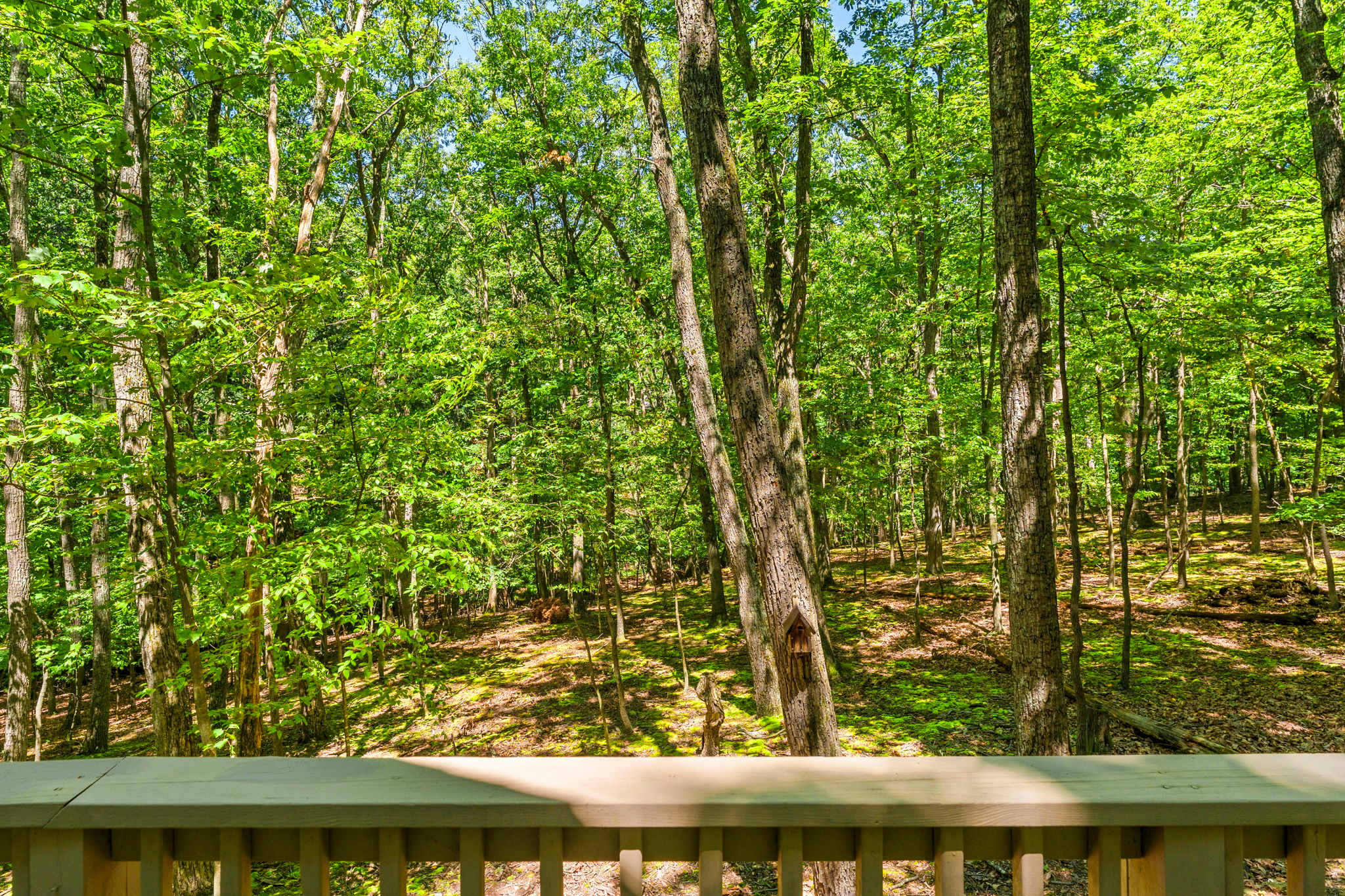 Pet-Friendly with Treehouse, Deck in The Woods Resort