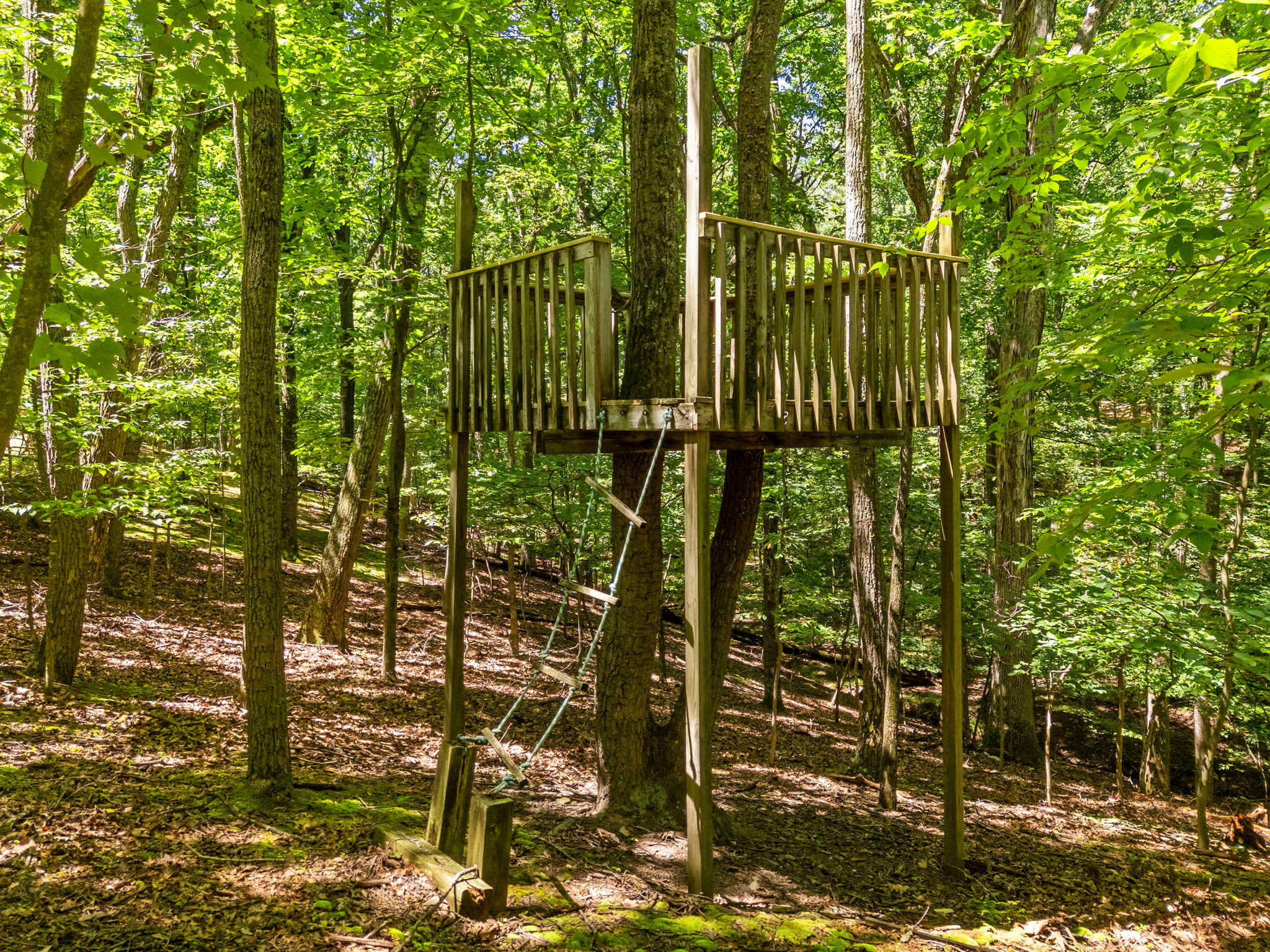 Pet-Friendly with Treehouse, Deck in The Woods Resort