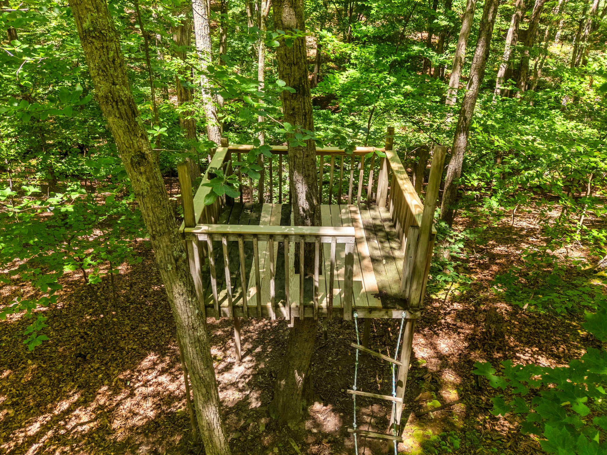 Pet-Friendly with Treehouse, Deck in The Woods Resort