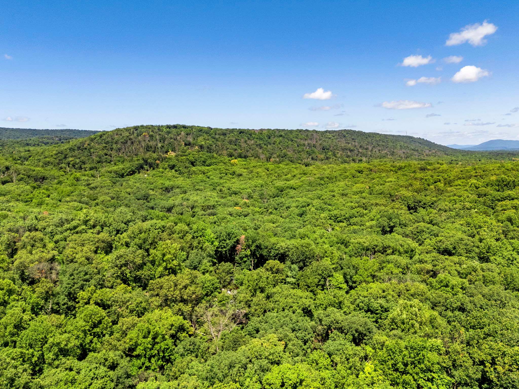 Pet-Friendly with Treehouse, Deck in The Woods Resort