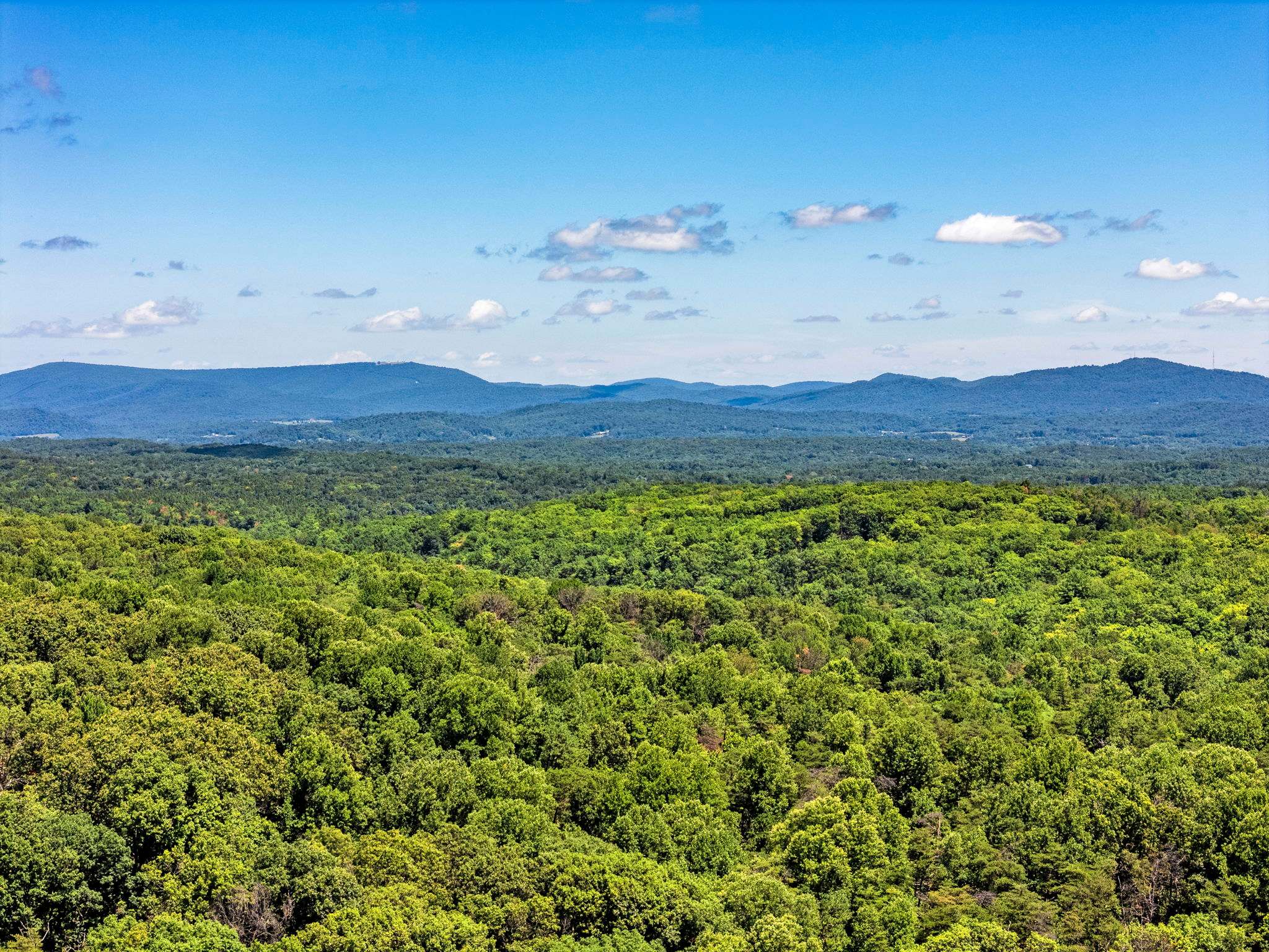Pet-Friendly with Treehouse, Deck in The Woods Resort