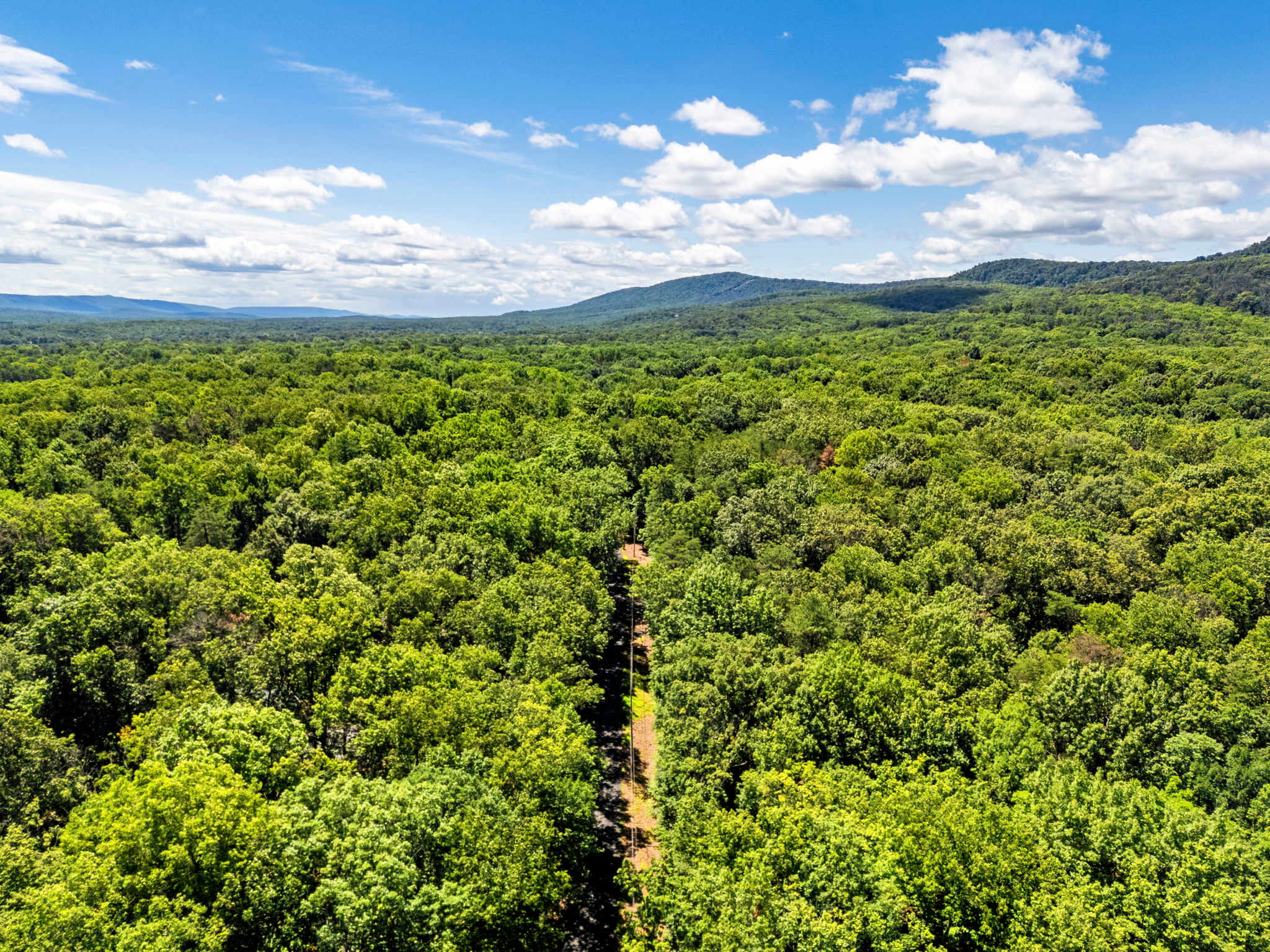 Pet-Friendly with Treehouse, Deck in The Woods Resort