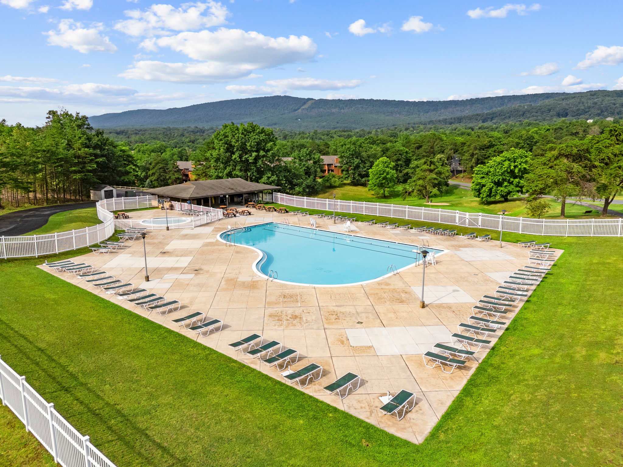 Pet-Friendly with Treehouse, Deck in The Woods Resort