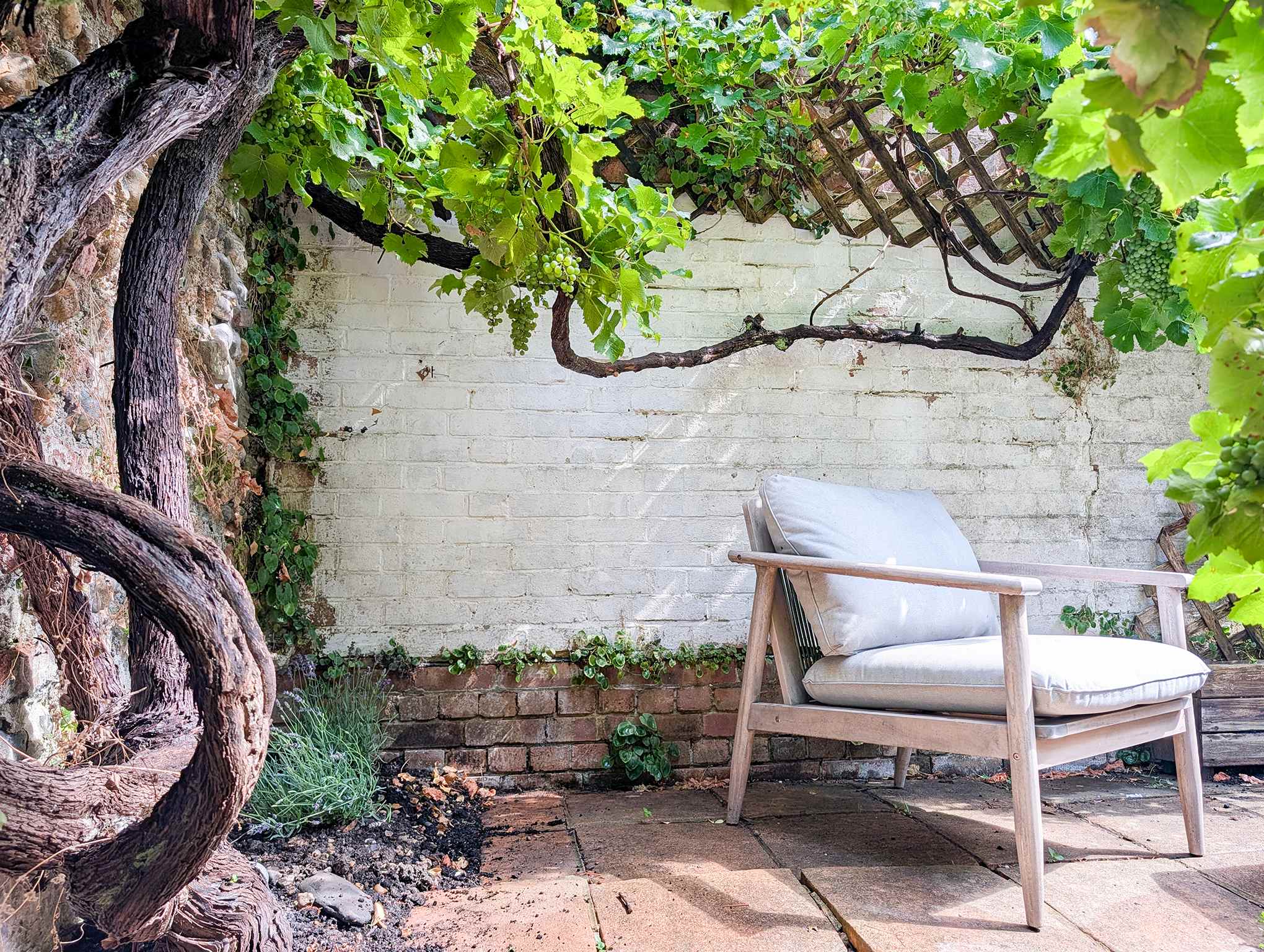 Old Vine Cottage - Terrace - by Brighton Holiday Lets - Brighton Holiday Home - Image 10