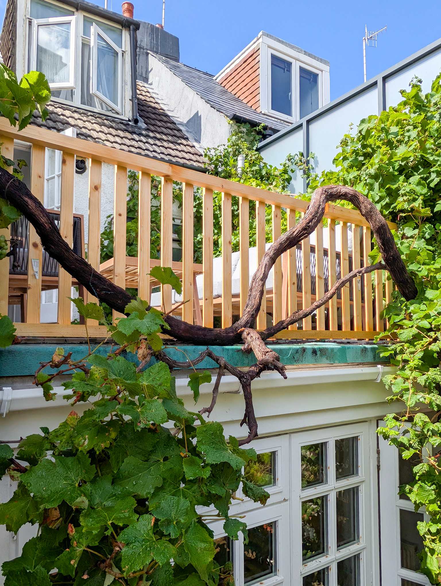 Old Vine Cottage - Terrace - by Brighton Holiday Lets - Brighton Holiday Home - Image 15