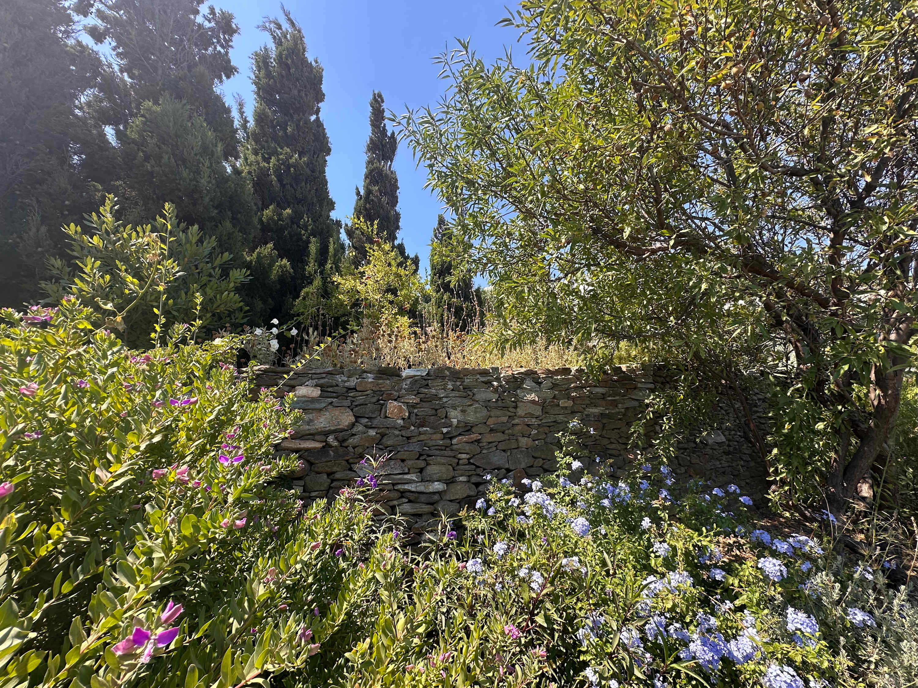 View 8