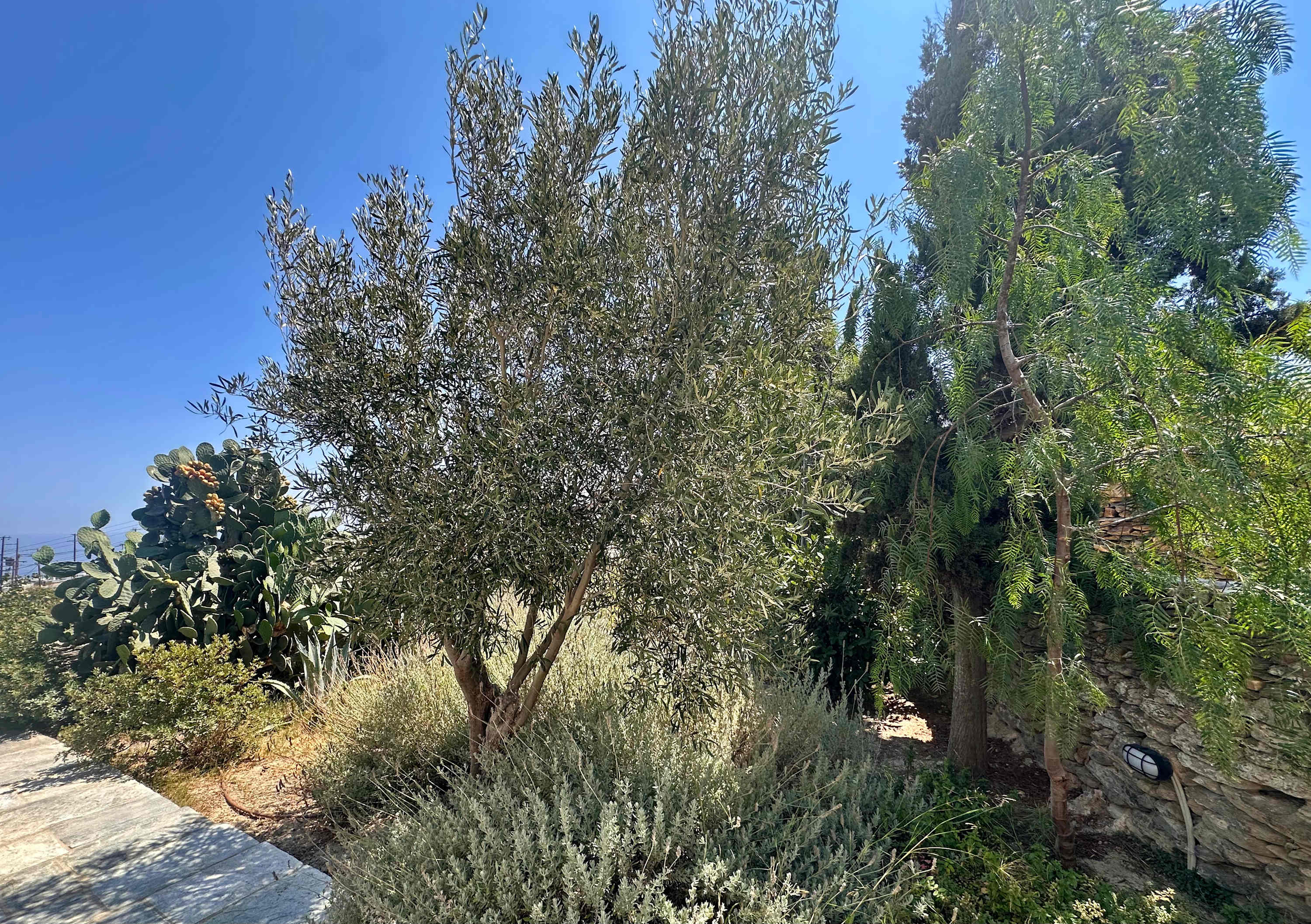 View 7