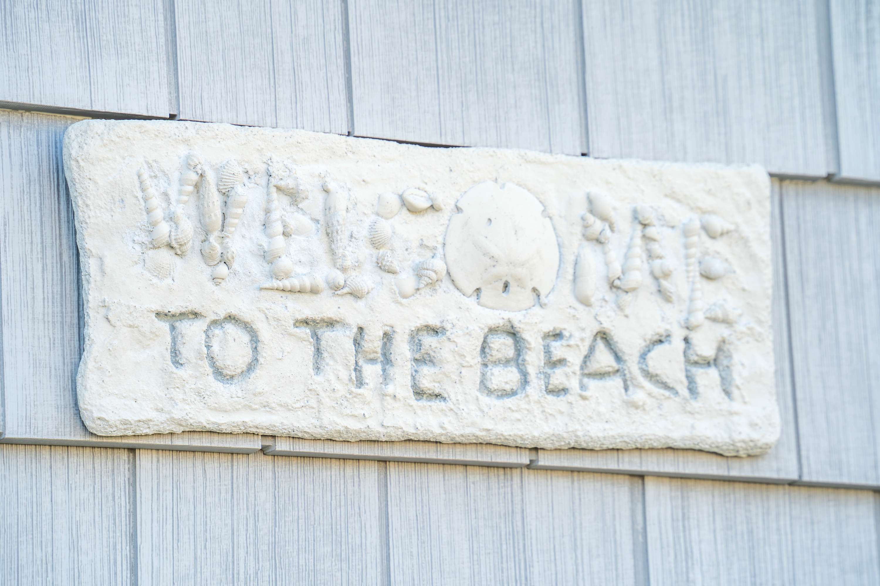 Welcome to the beach