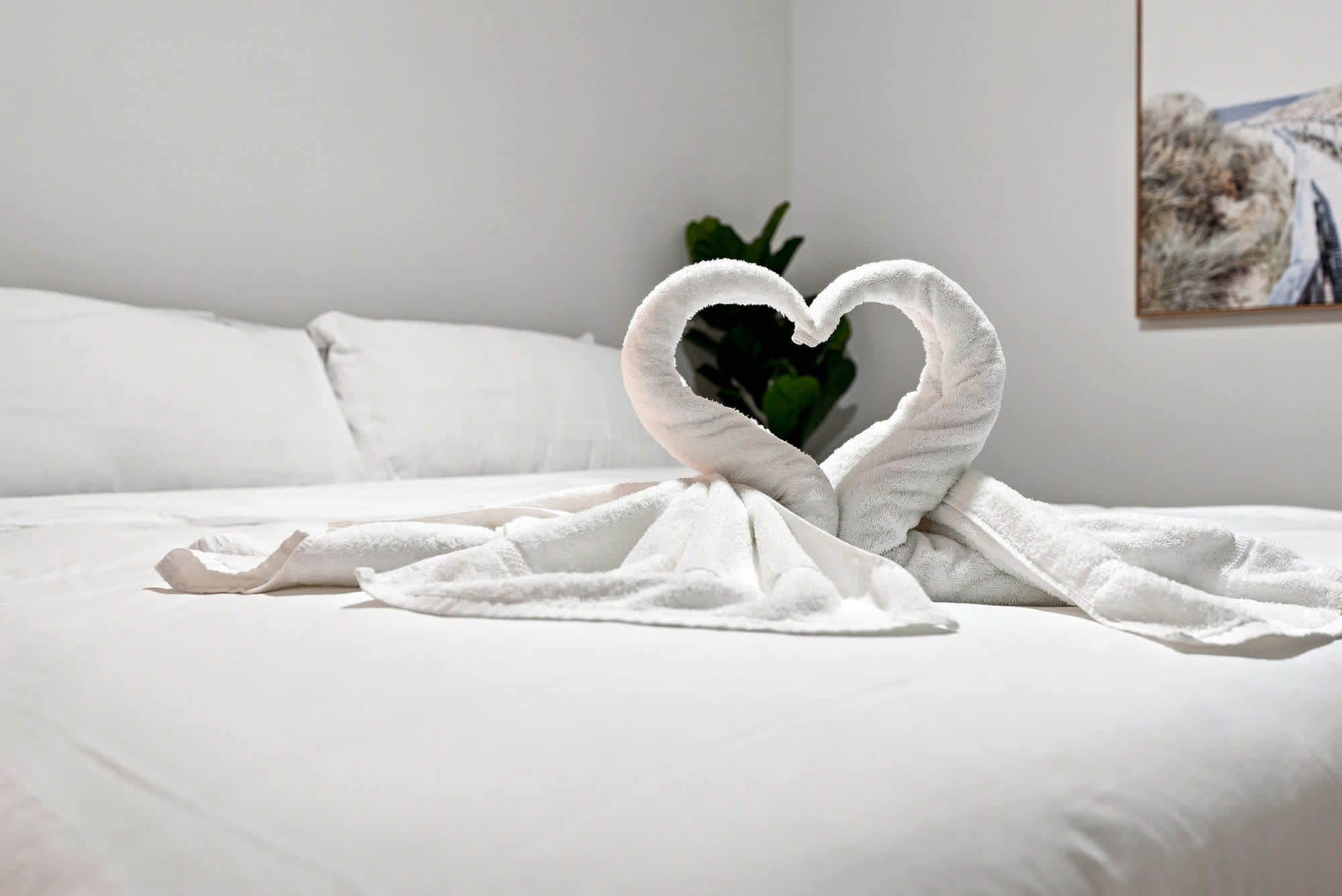 The Summit 1512 – Towel swans on a neatly made bed with white linens and a potted plant in the background.