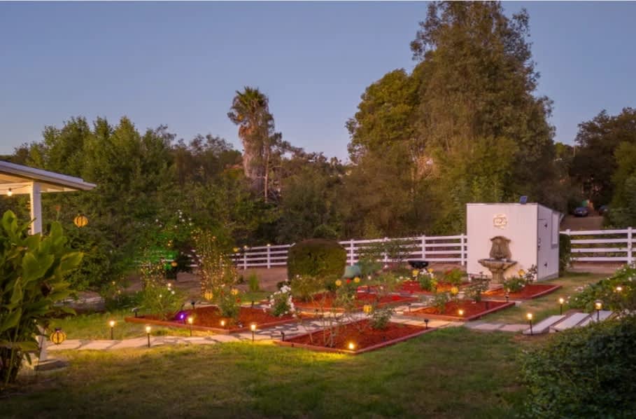 Backyard Garden
