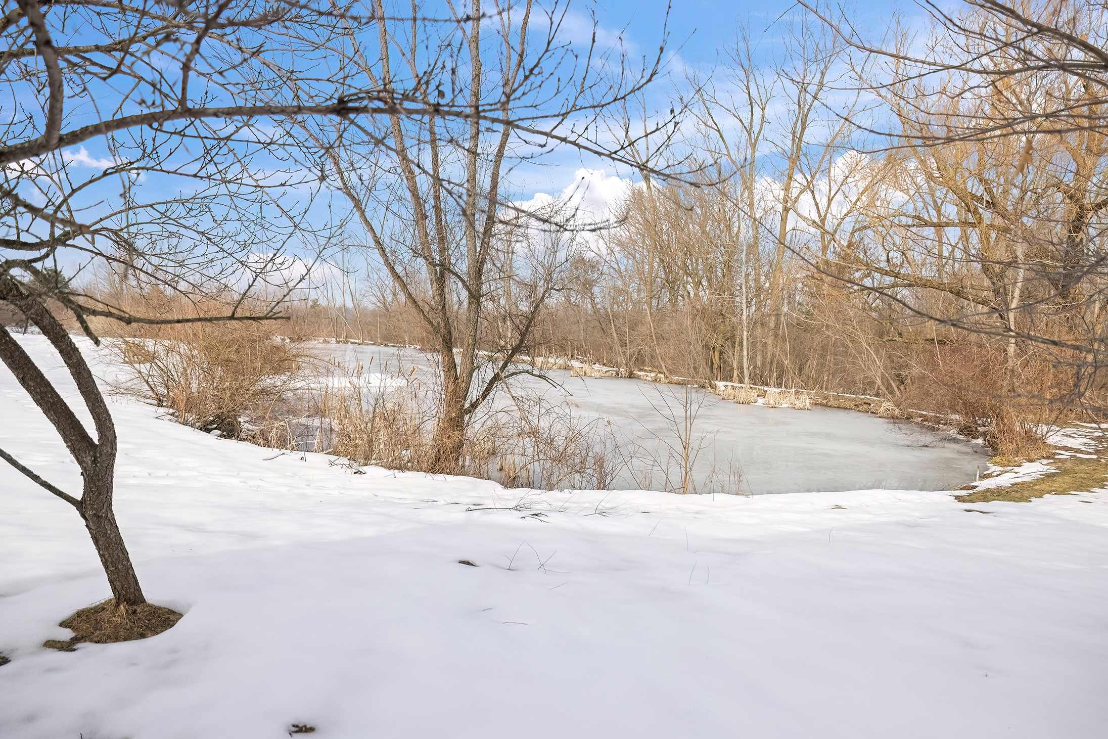 County Line Cabin’s private pond offers scenic views across the snow-covered grounds.