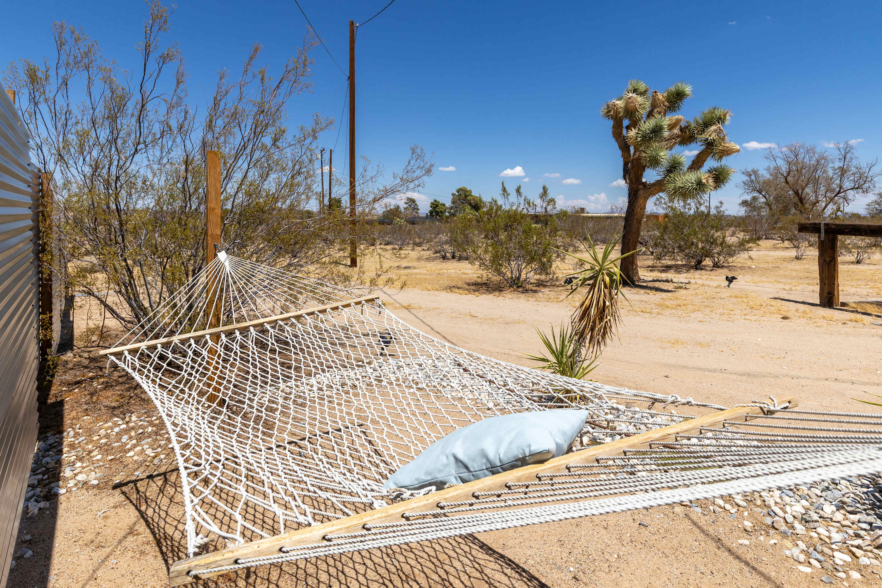 Rope hammock beside Joshua trees and desert landscaping outside the studio courtyard.