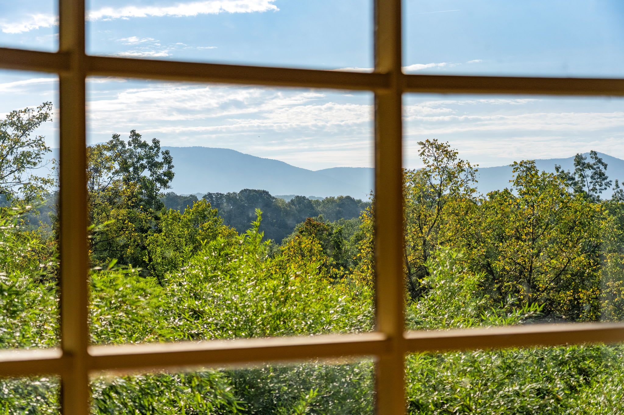 Real Log Cabin w Stunning Shenandoah Views