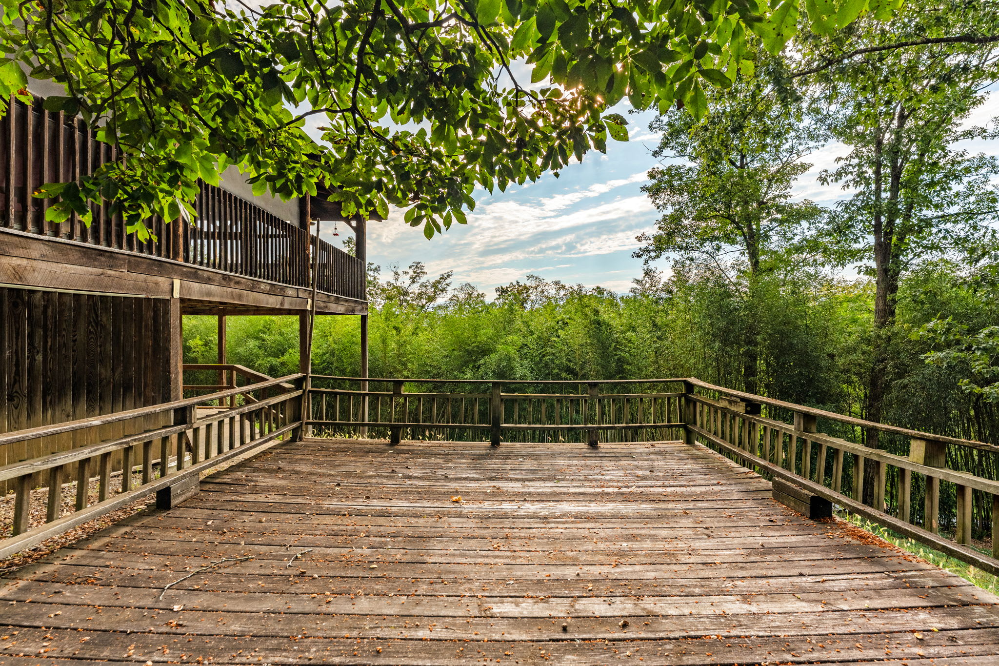 Real Log Cabin w Stunning Shenandoah Views