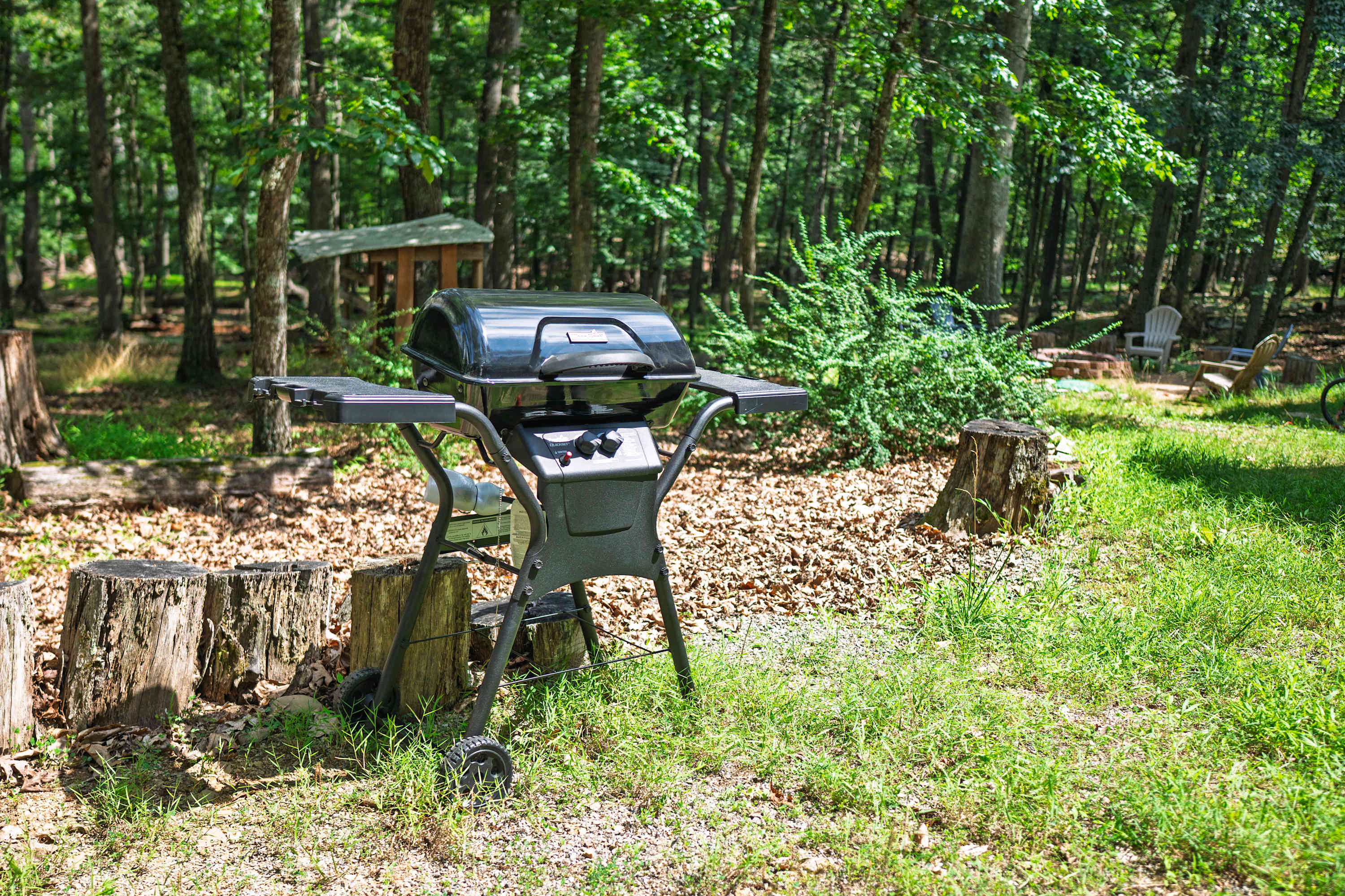 Propane Grill for the grillmaster in your group