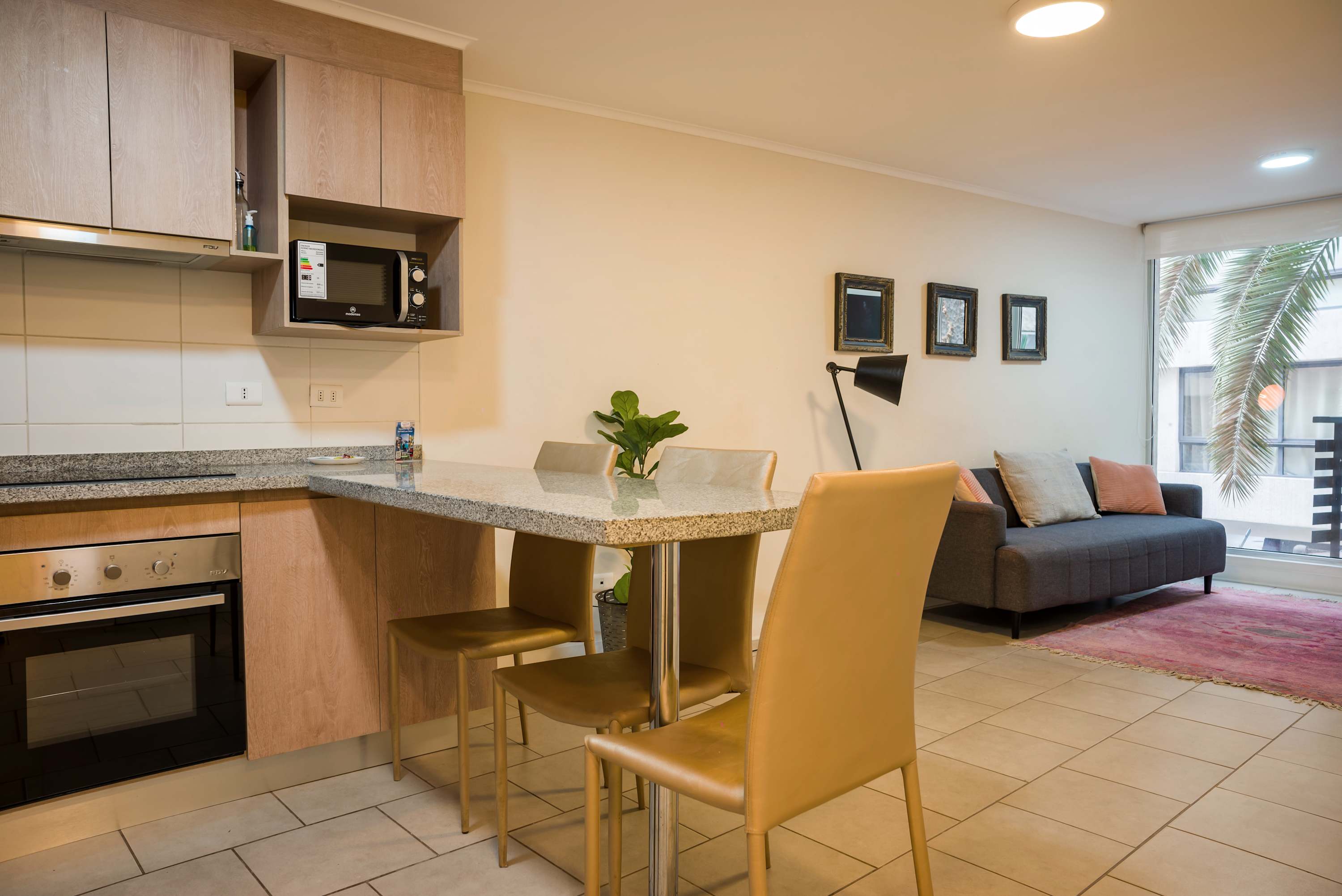 Private studio kitchen with a granite breakfast peninsula, four dining seats, and a bright living area framed by palm trees outside the window.
