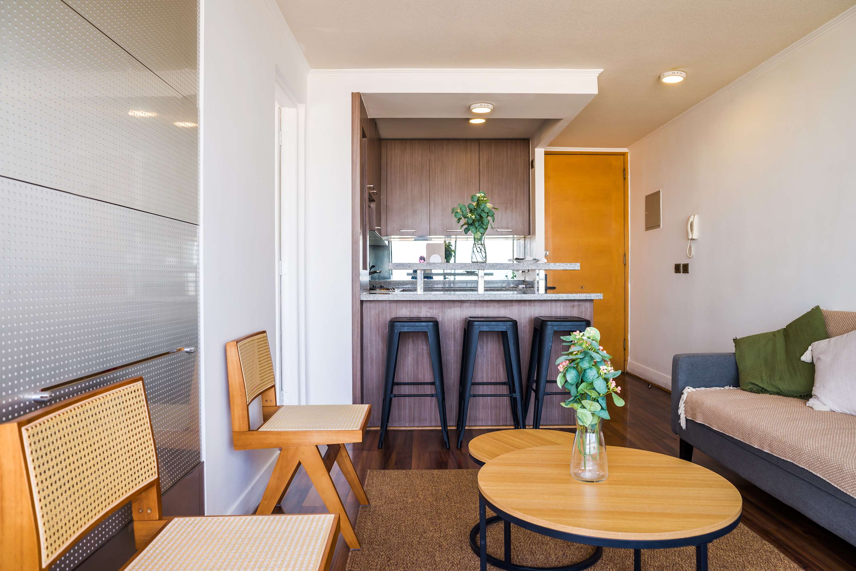 Open-plan studio living room with a wood breakfast bar, three stools, woven dining chairs, and a leafy plant-filled seating area.