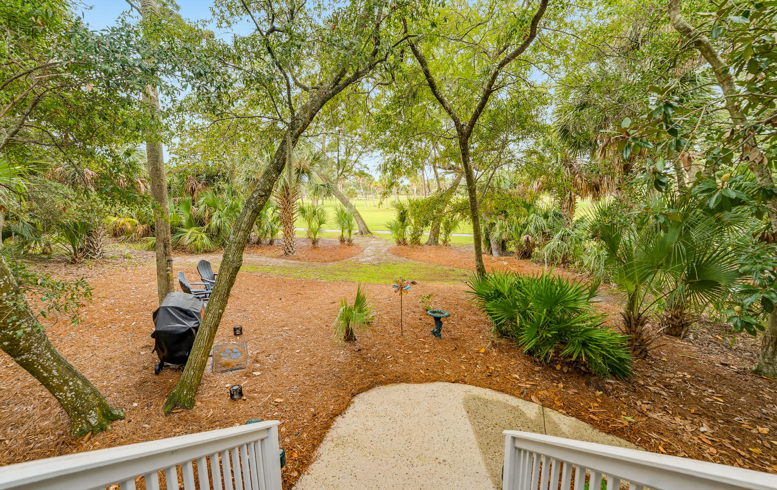 Backyard / Entry