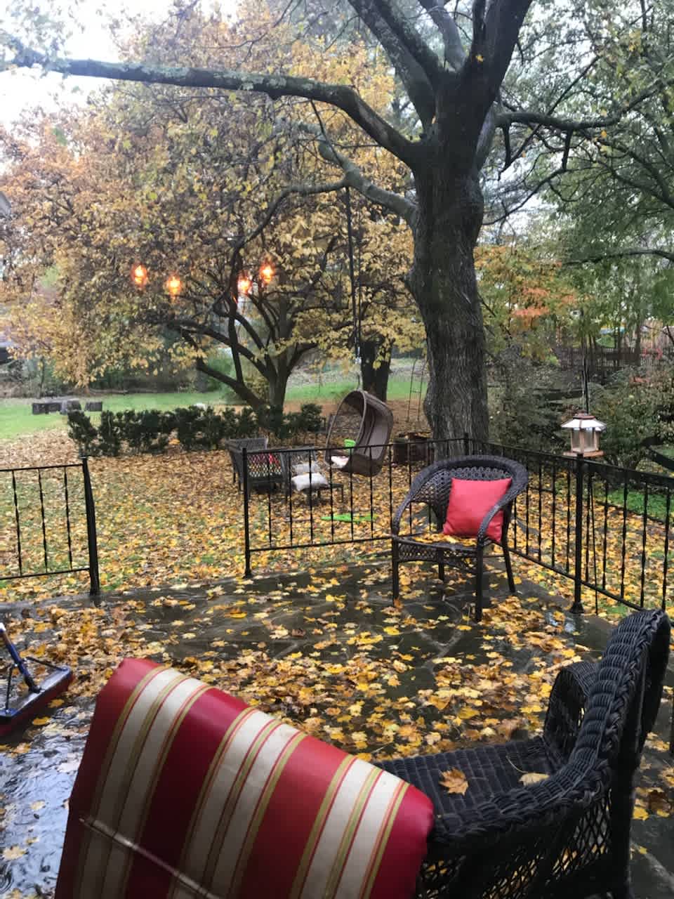 Charming Shepherdstown Home - Walk to Downtown