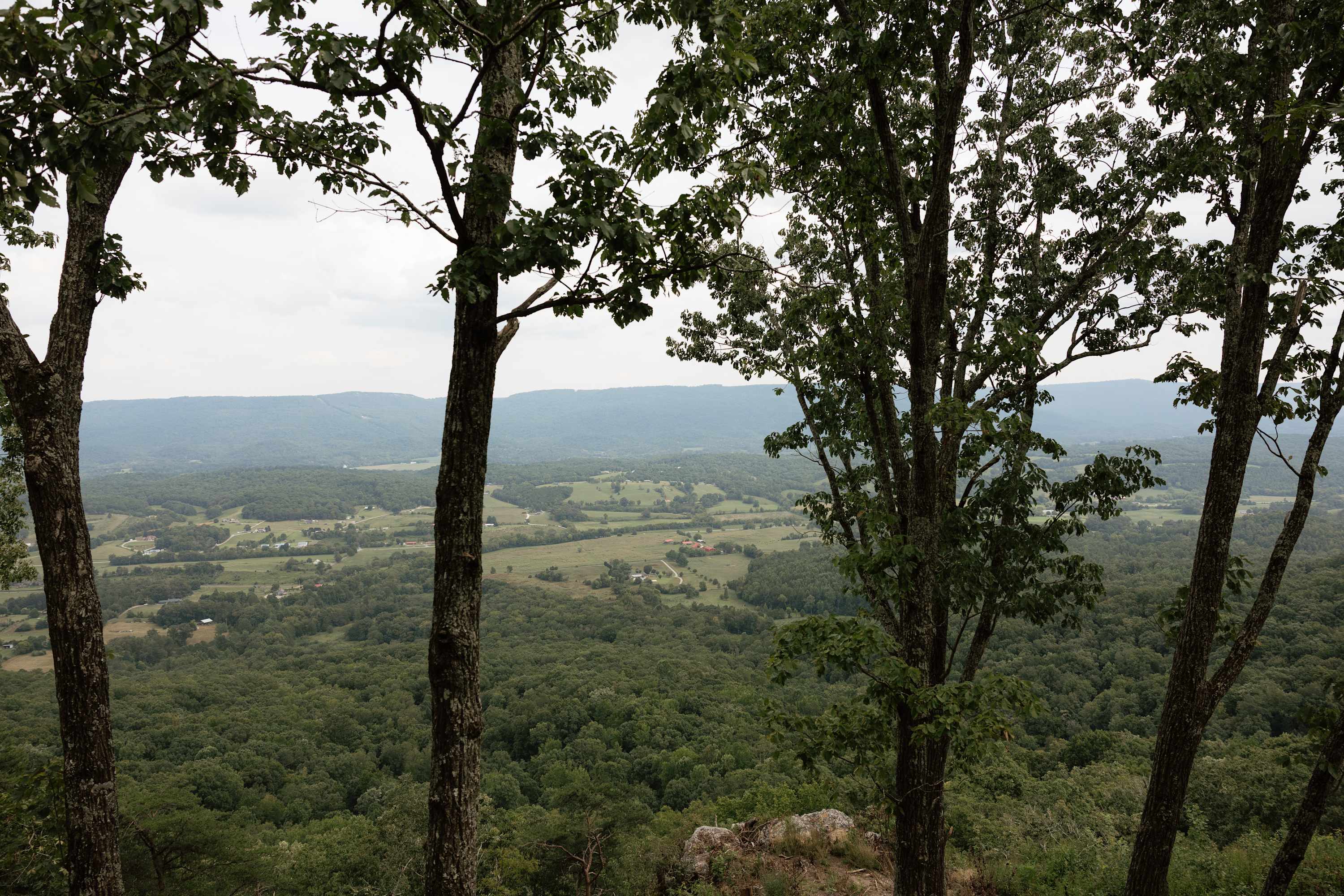 Breathtaking valley views surrounded by lush greenery.