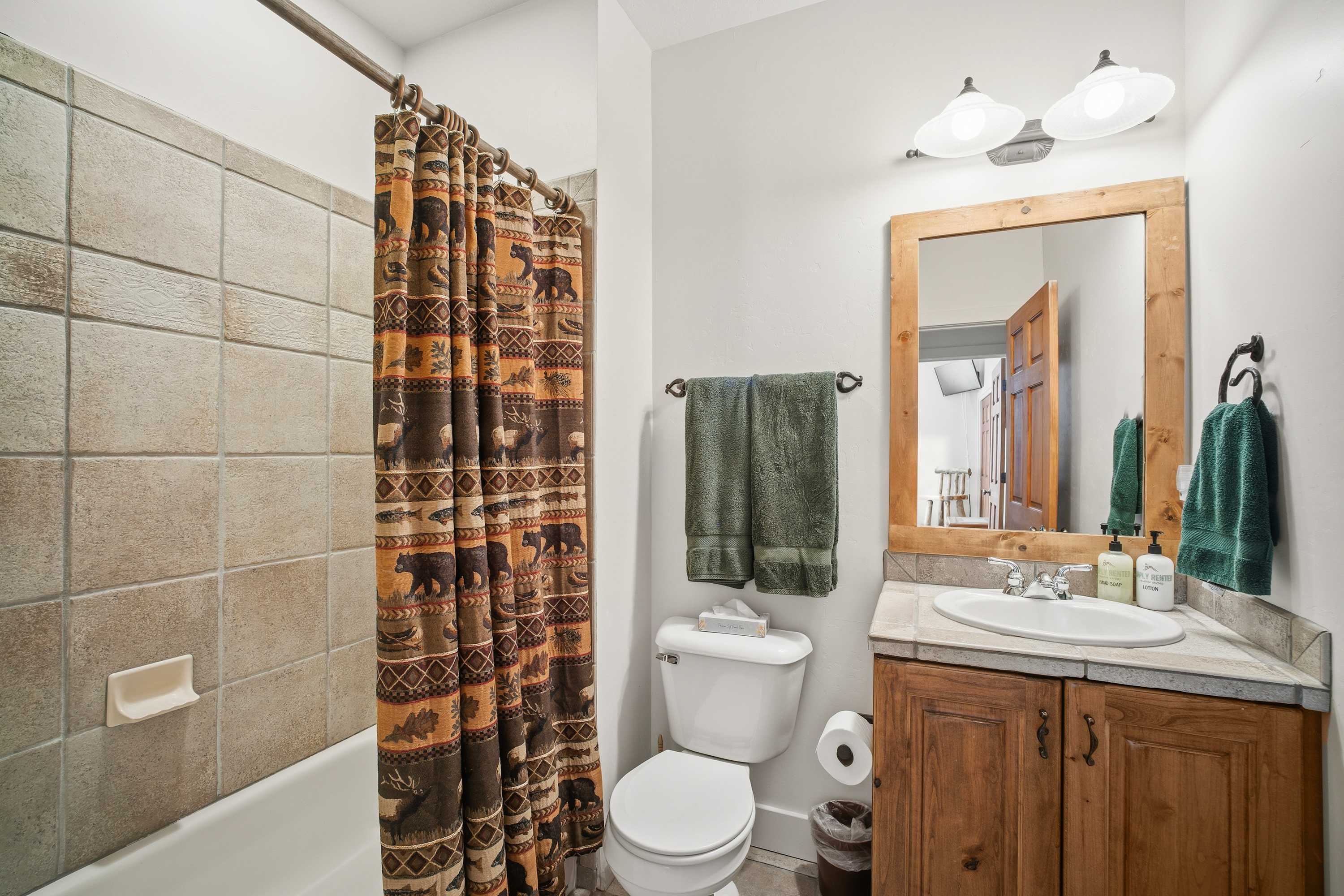 Downstairs Hallway Bathroom