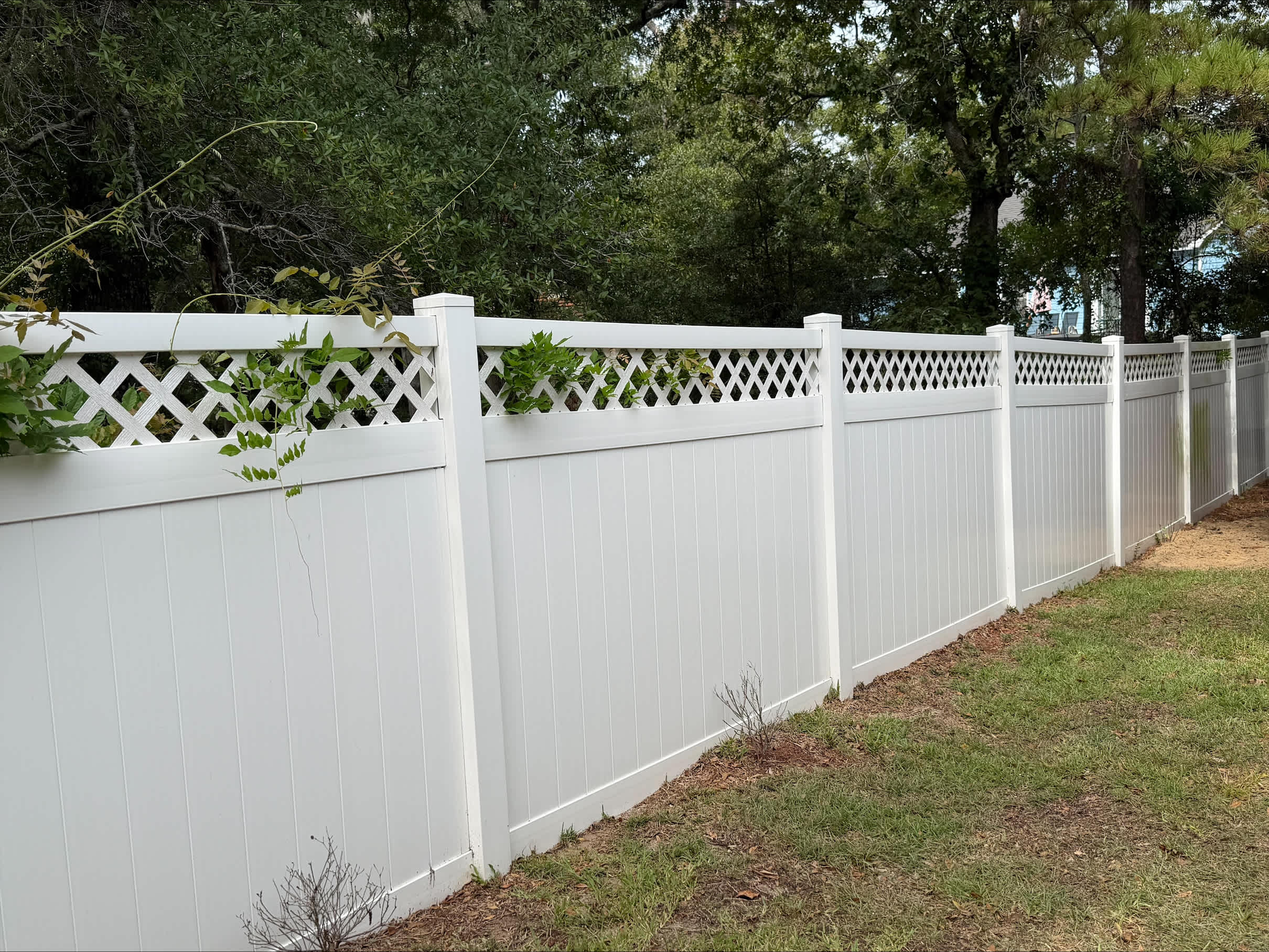 Fenced in Yard so Pets Play Safe