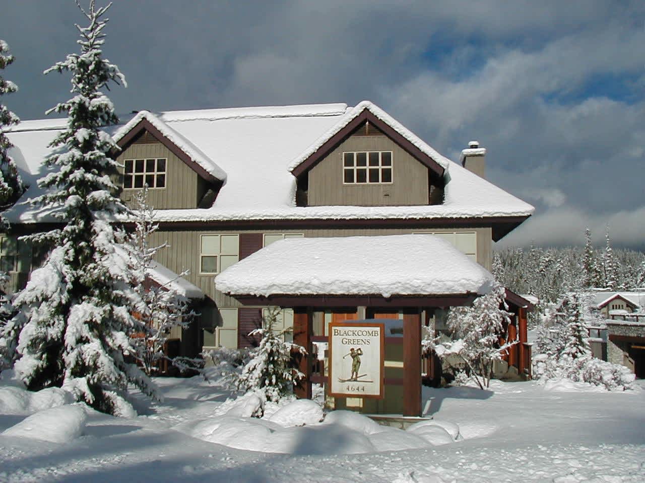 Blackcomb Greens 31