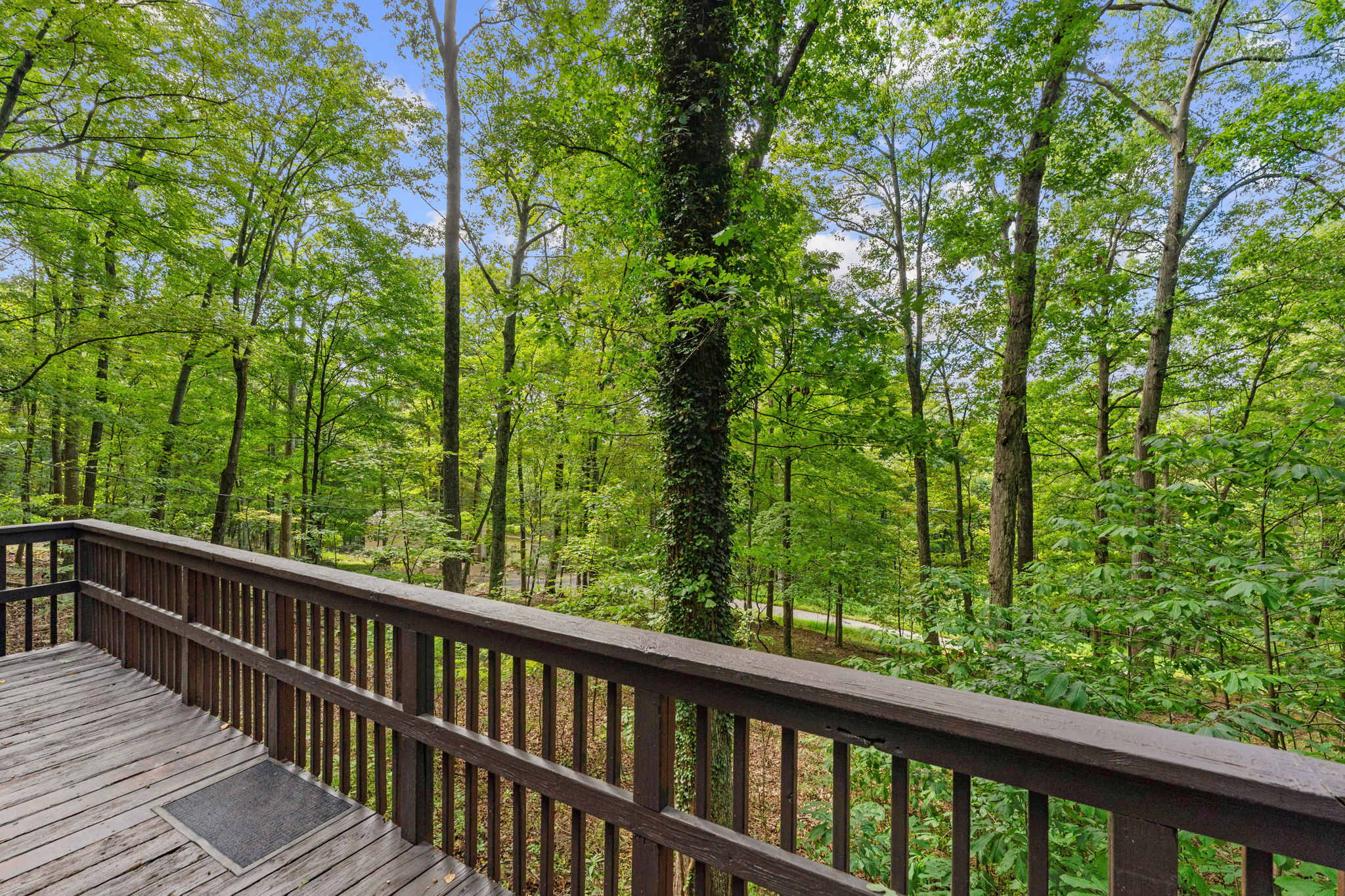 River Cabin w/ Hot Tub, Screened Porch & Fire Pit