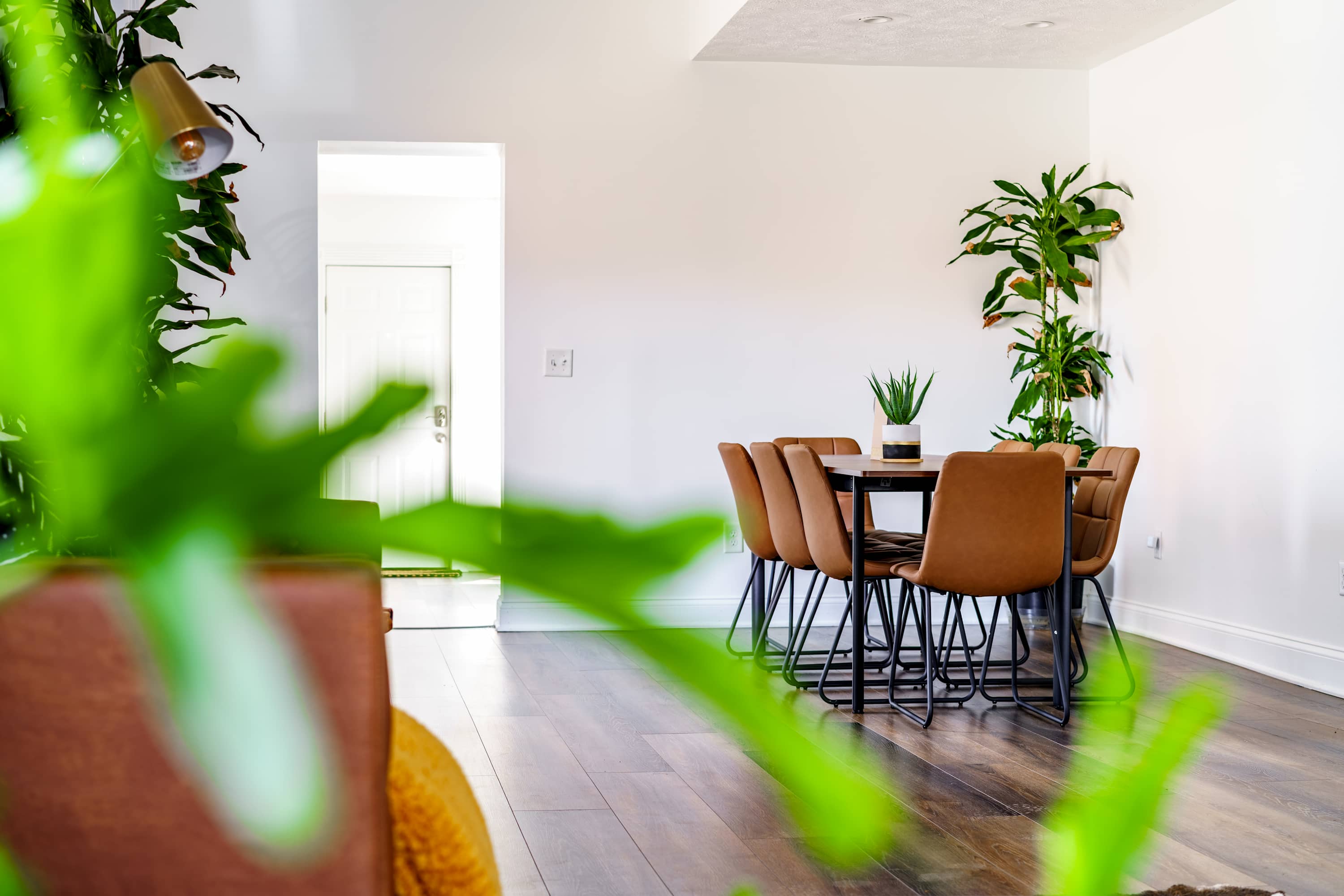 Cozy Cabana by Jungle House | Downtown & Short North | Free Parking...