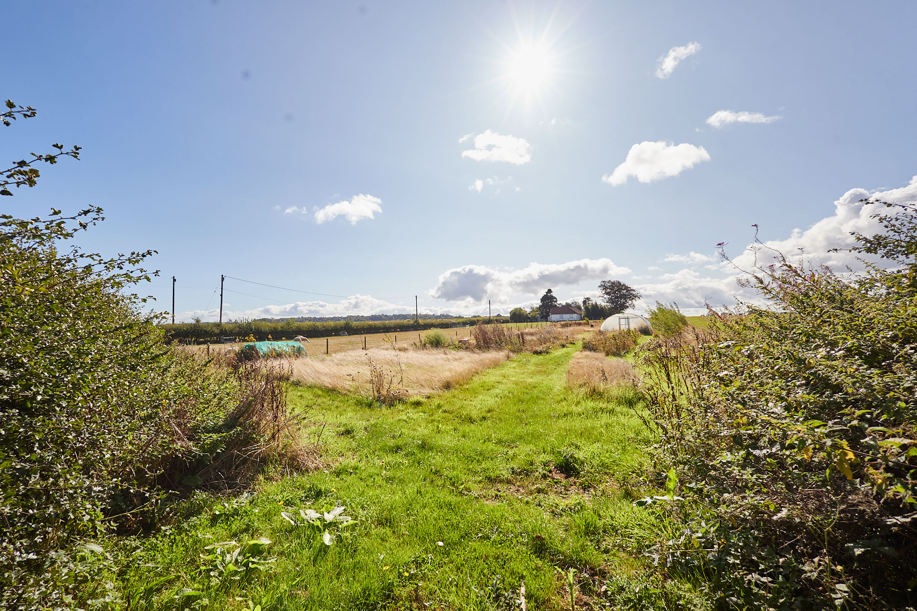 West Loanend Cottage – photo 5