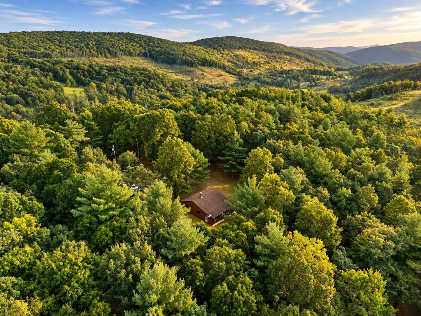 The setting is one of the biggest reasons to stay here. The cabin sits atop a cleared, open mountain knob surrounded by 26 private acres, providing expansive views and plenty of breathing room. 