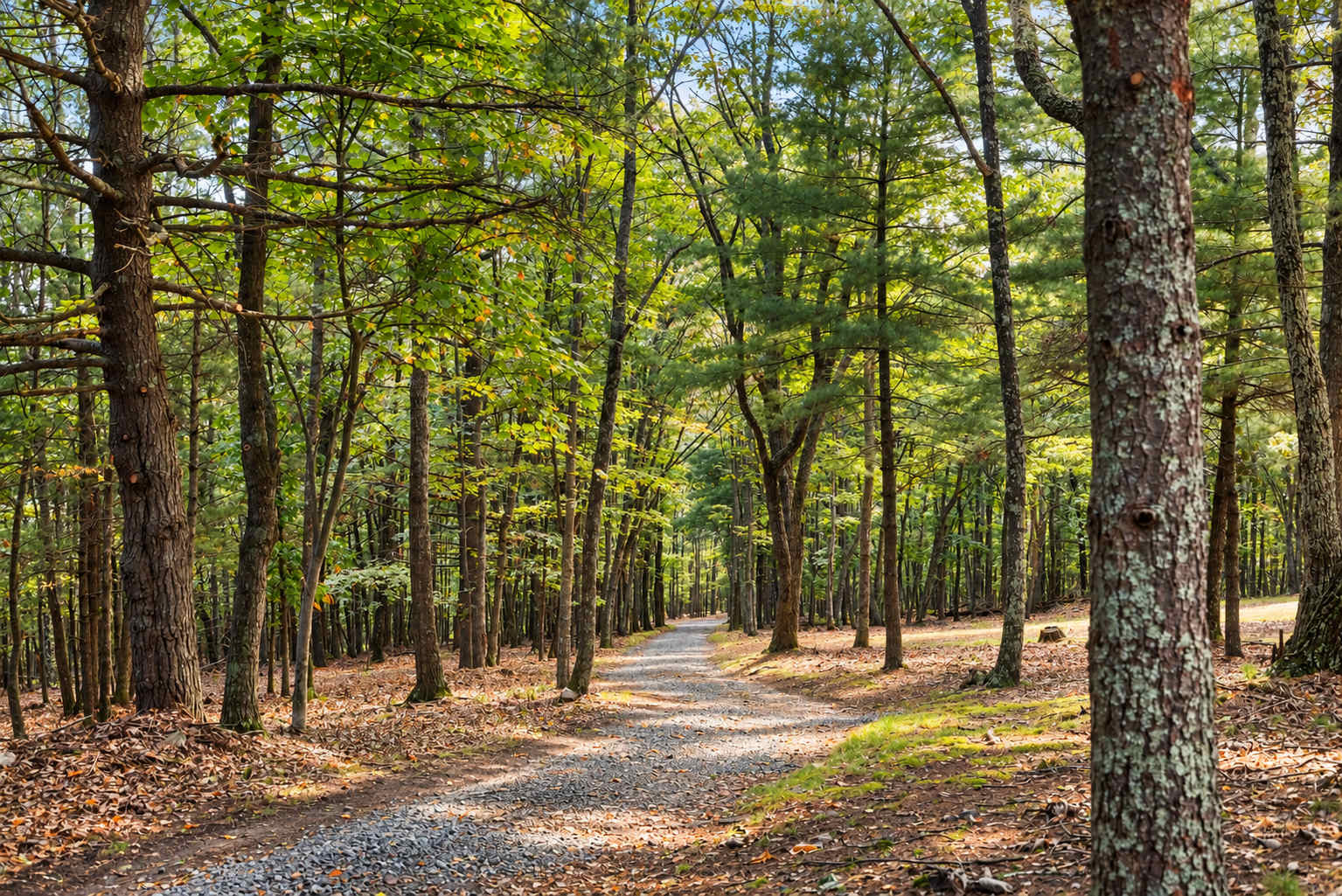 The property offers on-site parking for 10 vehicles, making it easy for families and groups to arrive and stay comfortably. Ample driveway space allows for convenient unloading and easy in-and-out access throughout your stay. 
