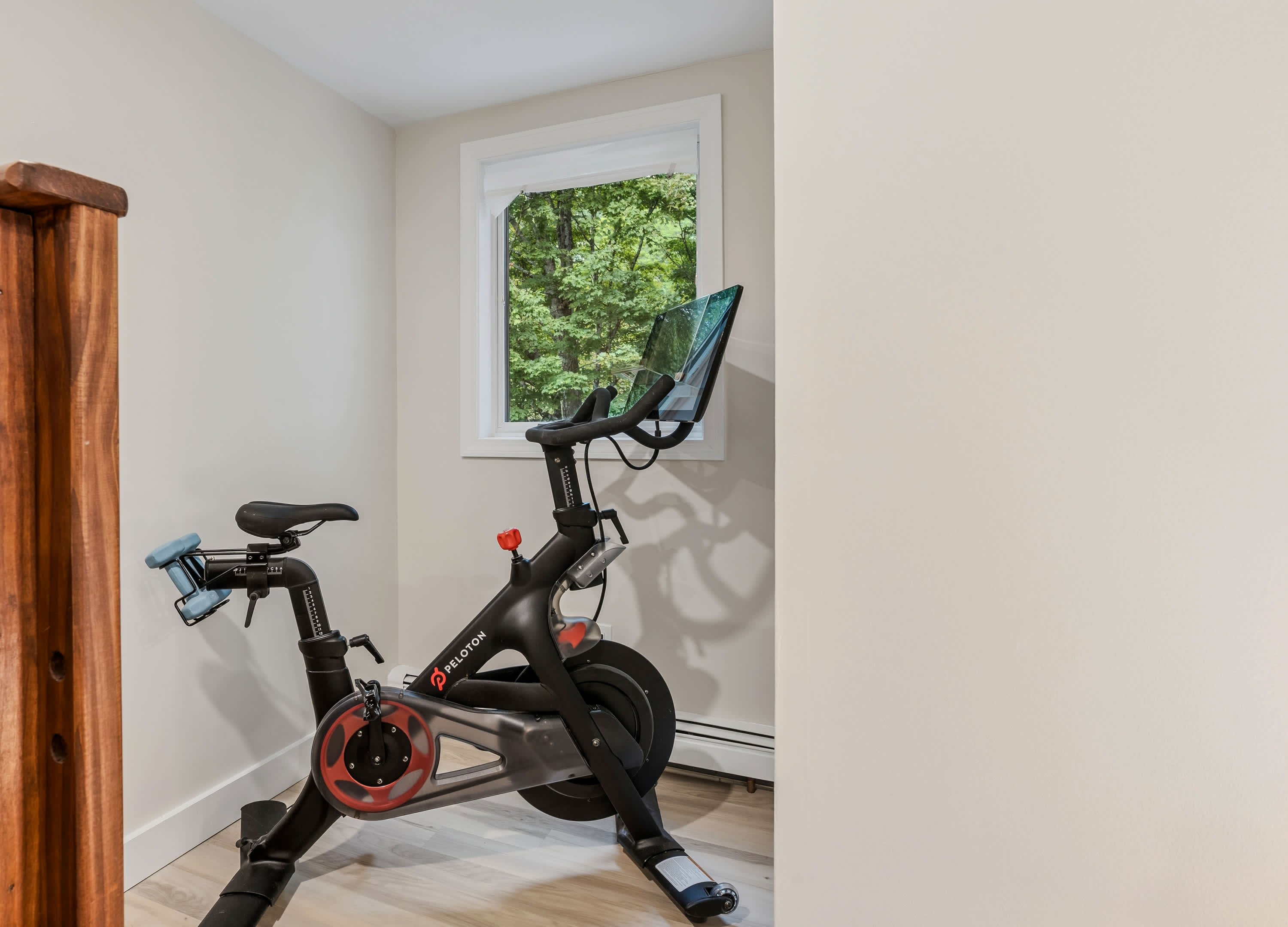Renovated One-Bedroom Condo with Peloton & Fireplace