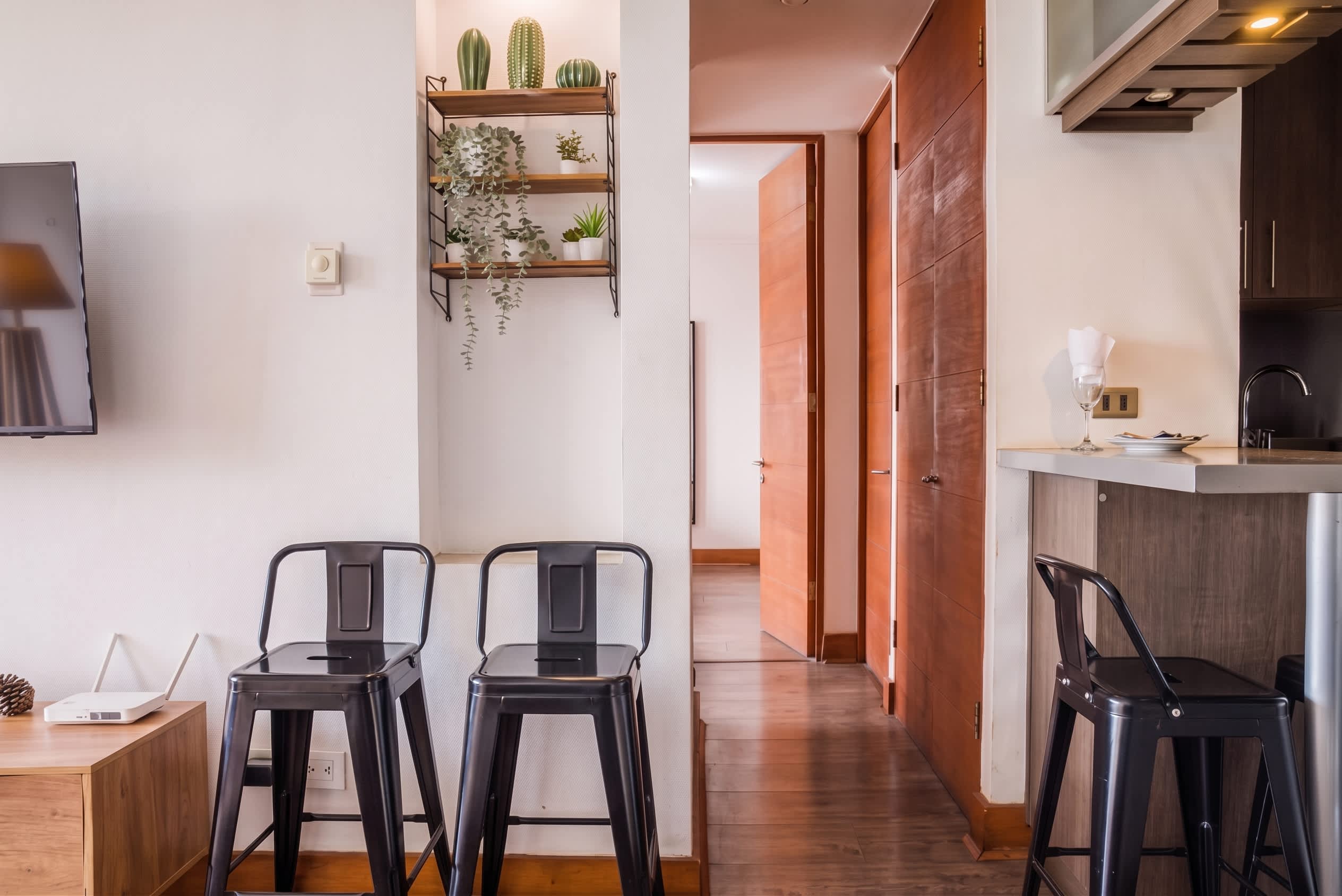 Open-plan dining area with black metal seating, a wood kitchen, and a decorative shelf of cacti and greenery.