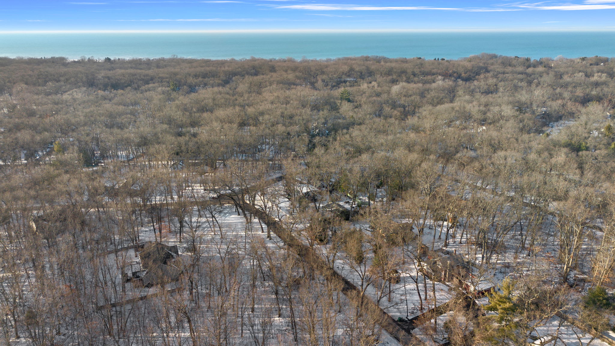 Snowy forests meet endless blue horizons.