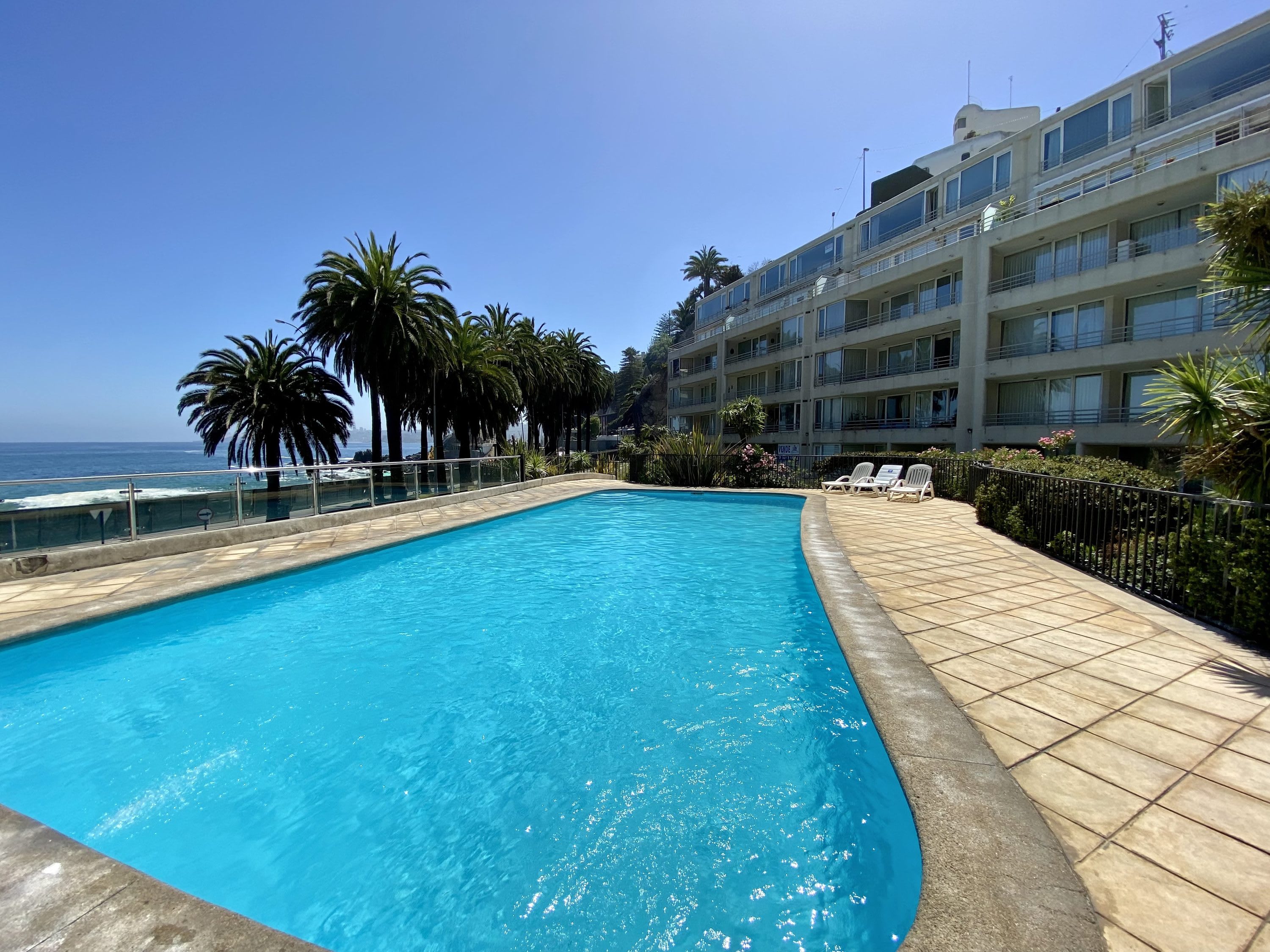 Building pool facing the ocean, surrounded by palm trees