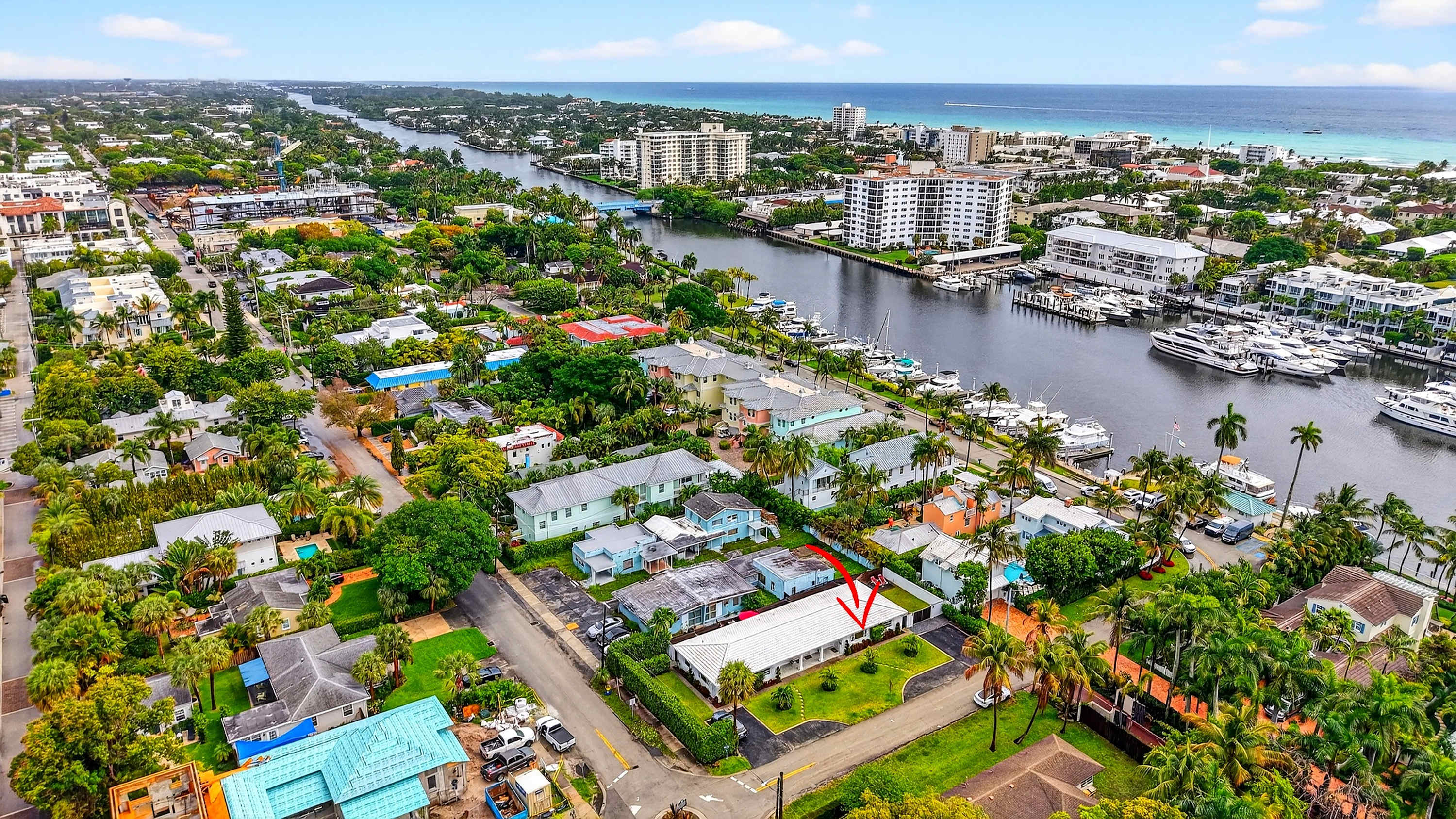 Aerial View​