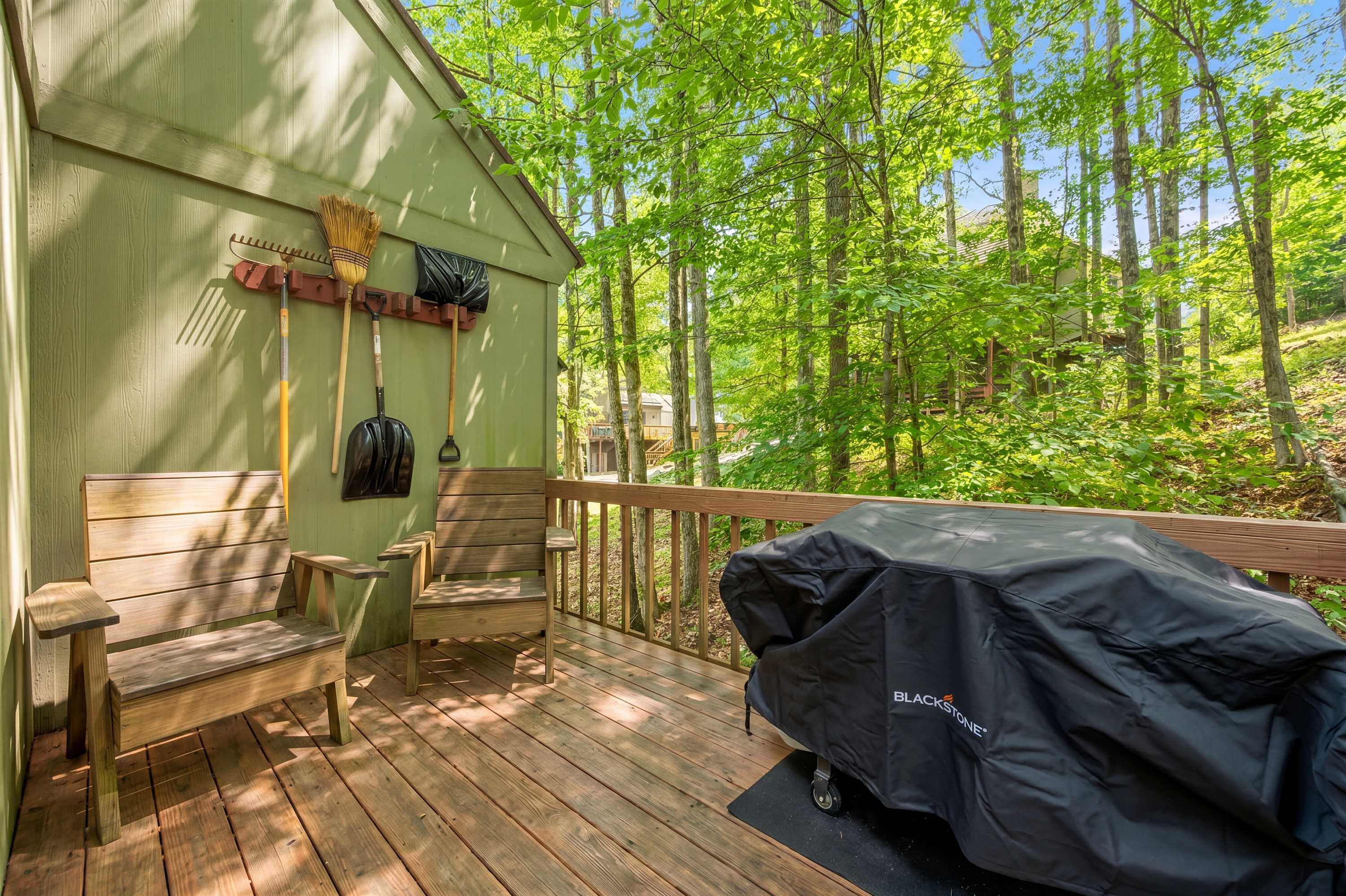 Canaan Valley w Refuge Access & Resort Amenities