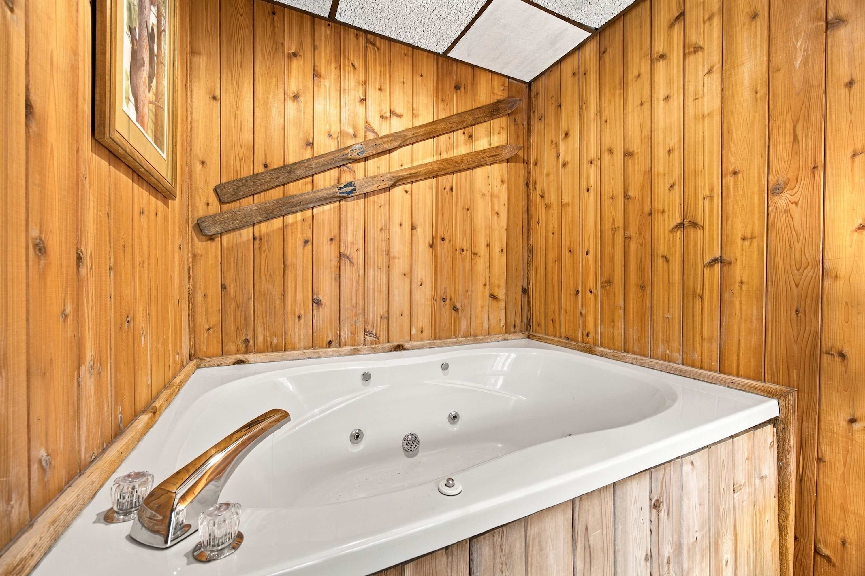 Canaan Valley w Refuge Access & Resort Amenities
